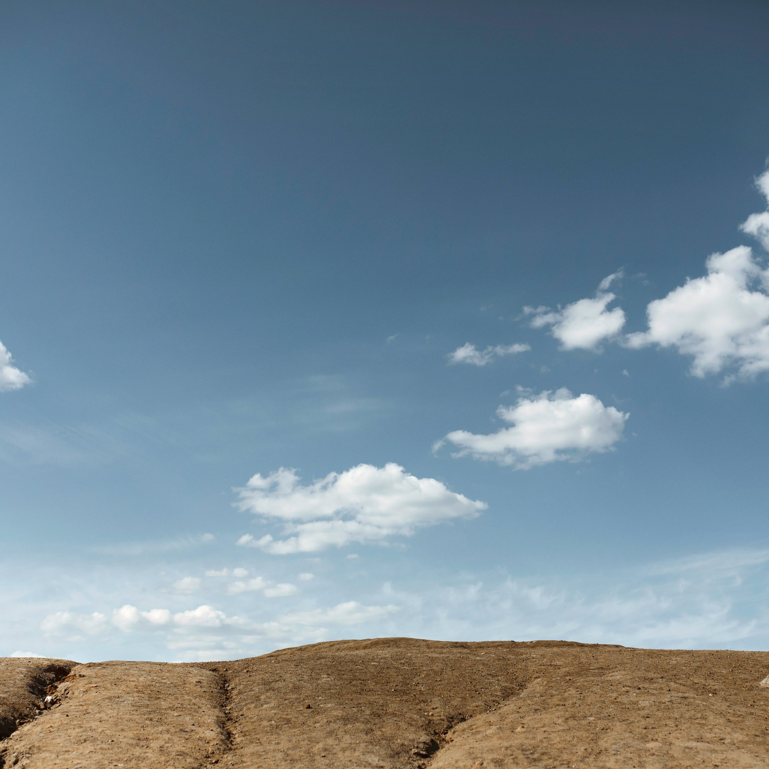 Свадьба. Александр Кормилицин — Семейный и свадебный фотограф в Москве и Московской области