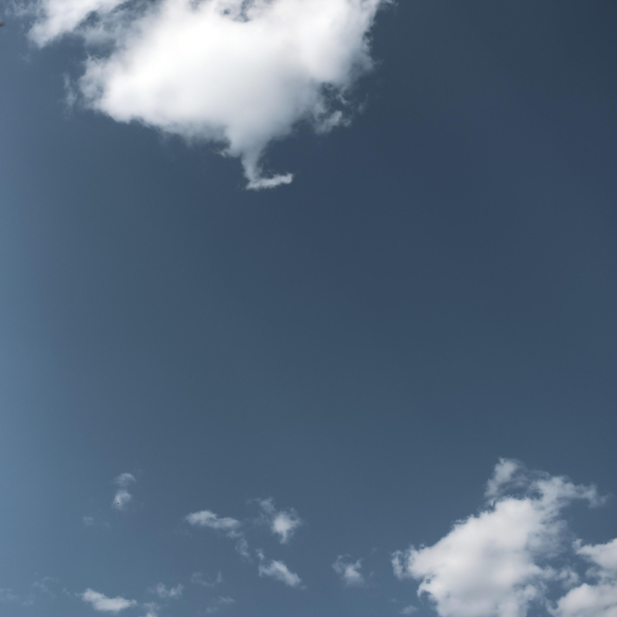 Свадьба. Александр Кормилицин — Семейный и свадебный фотограф в Москве и Московской области