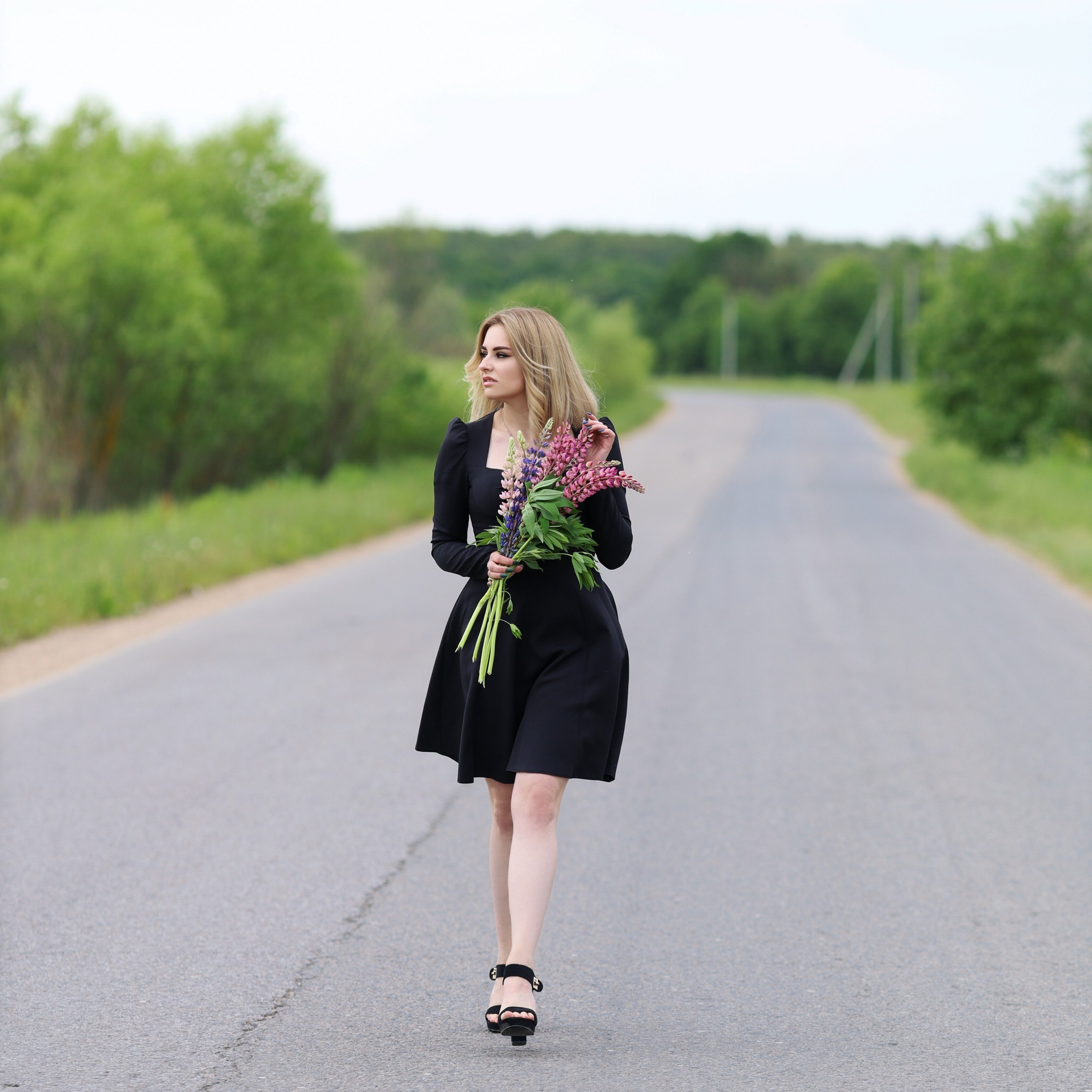 Фира. Люпины