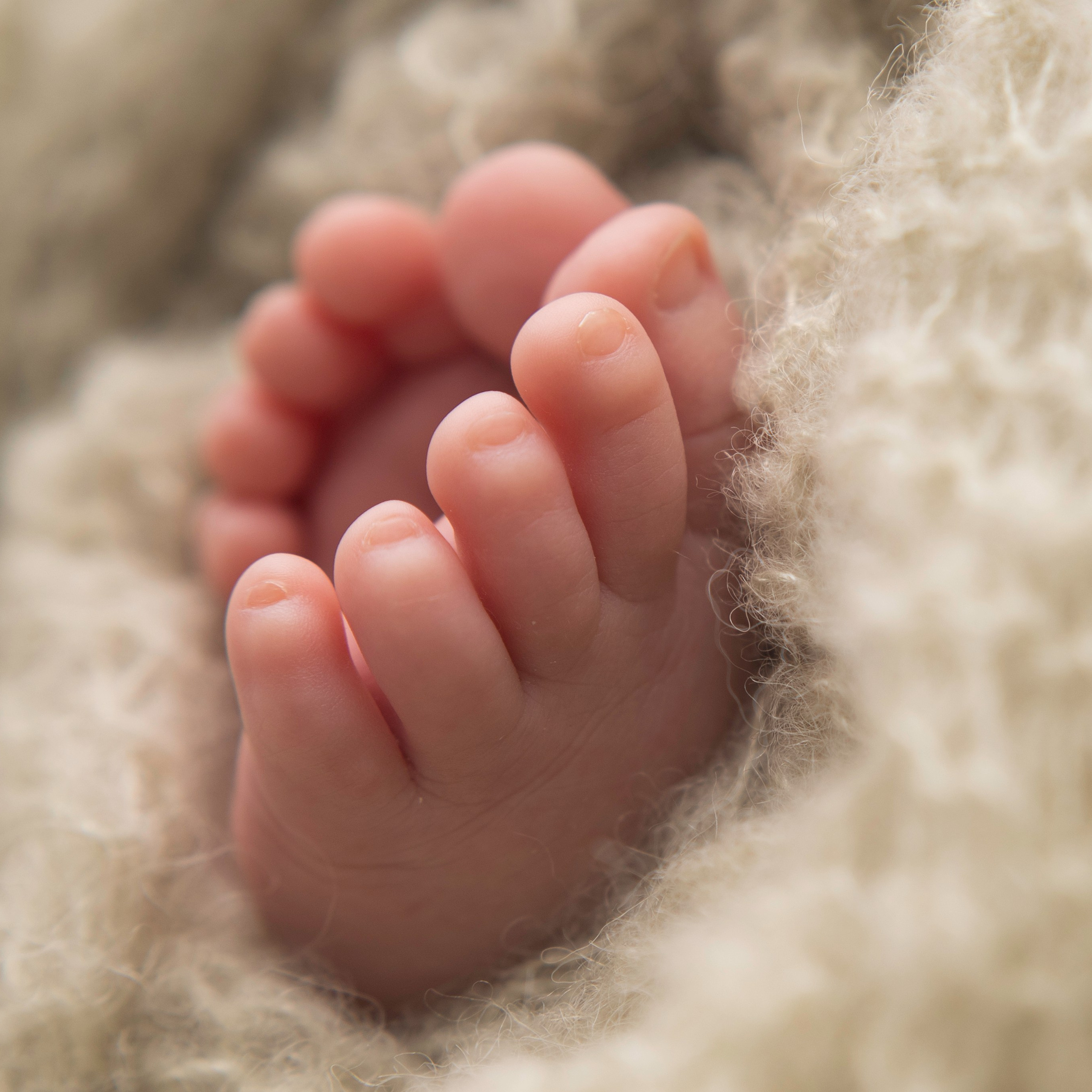 Макрокадры