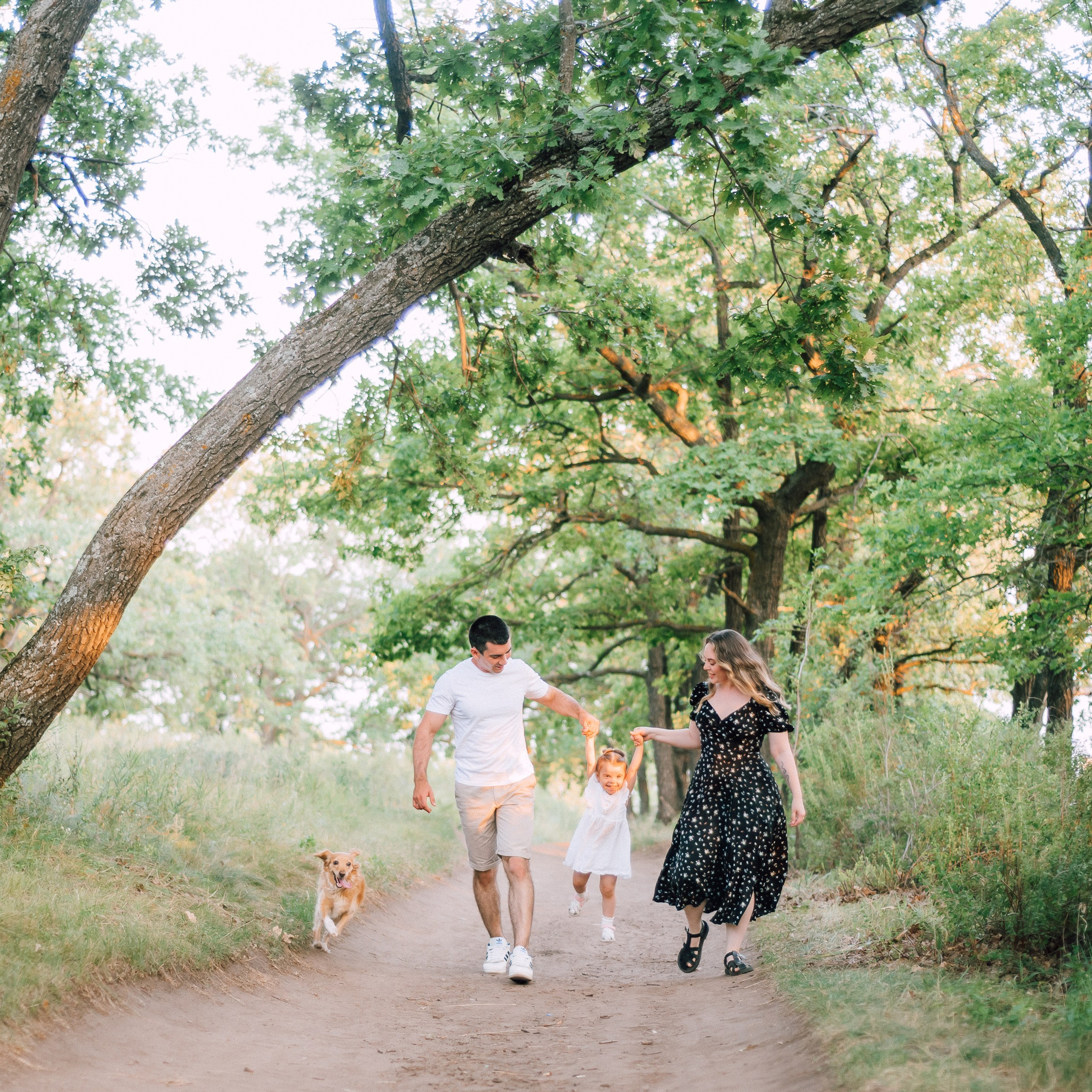 Вечерняя прогулка в лесу