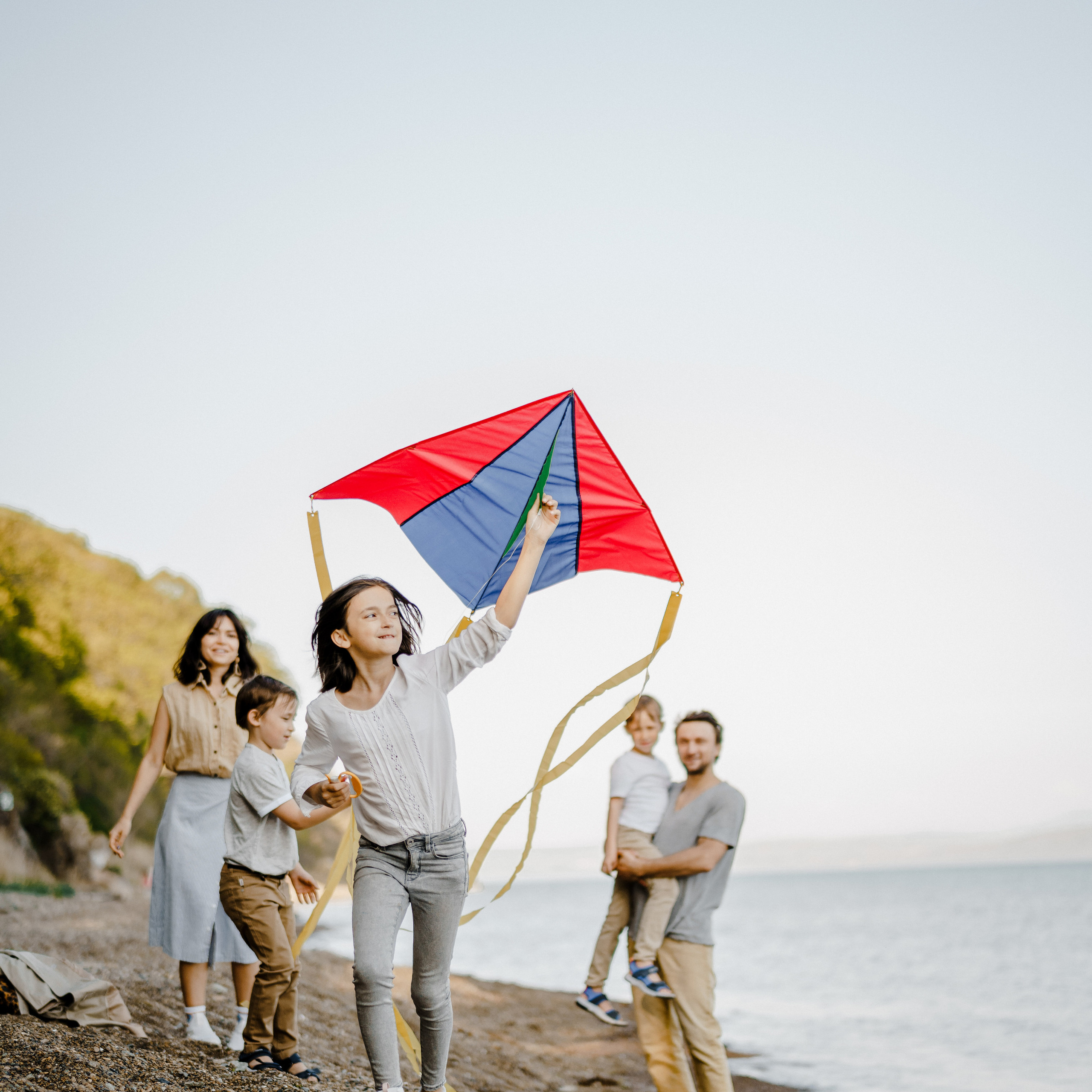 берег моря воздушный змей и собака