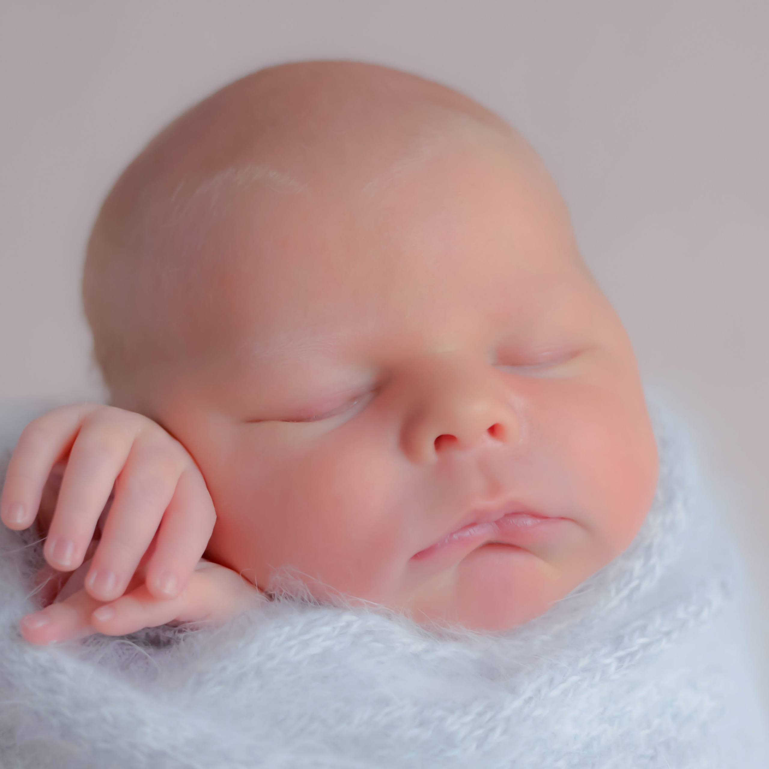 Отзывы. Детский и семейный фотограф Дарья Плеханова г Тверь