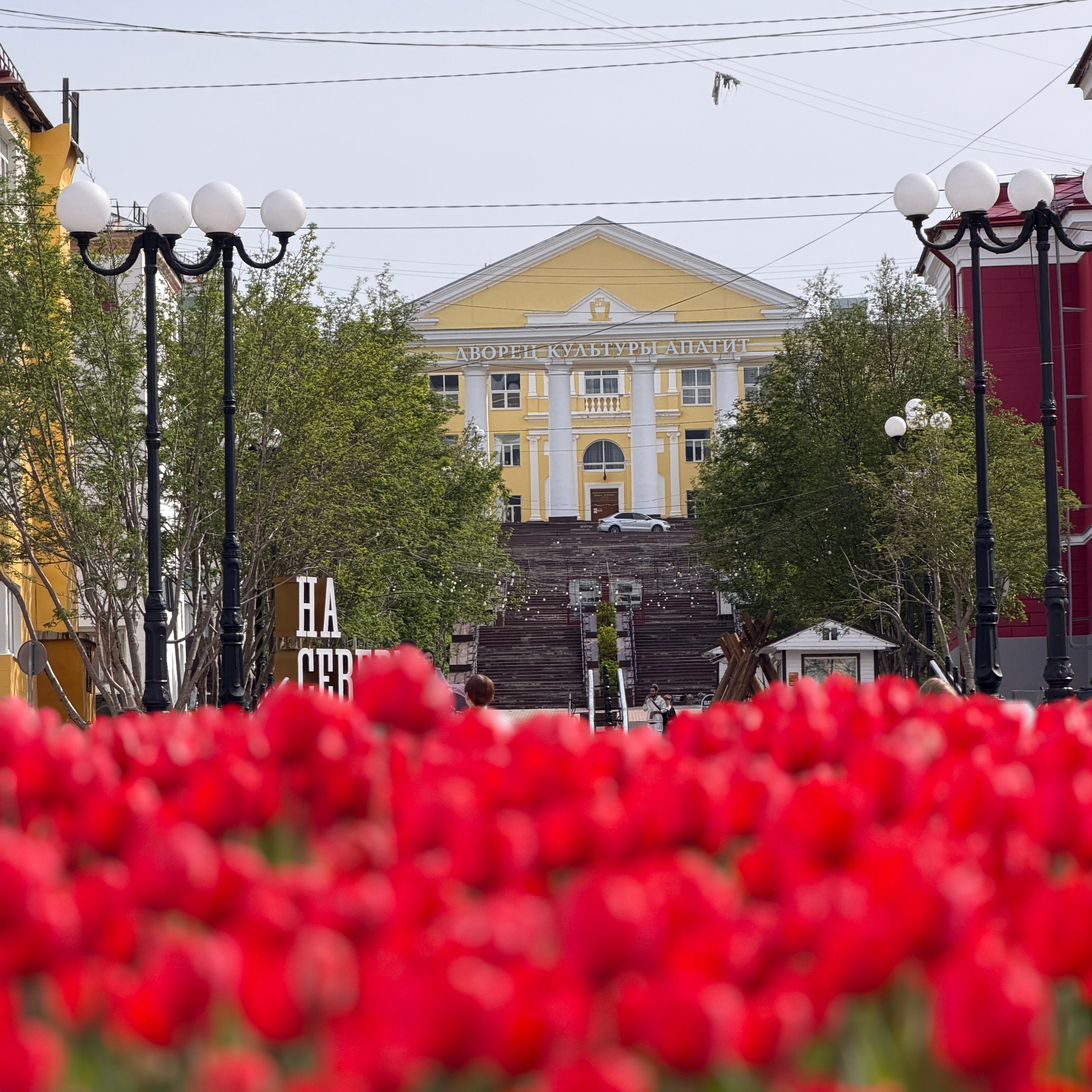 Пусть будет нарядной Земля. Студия Джобса