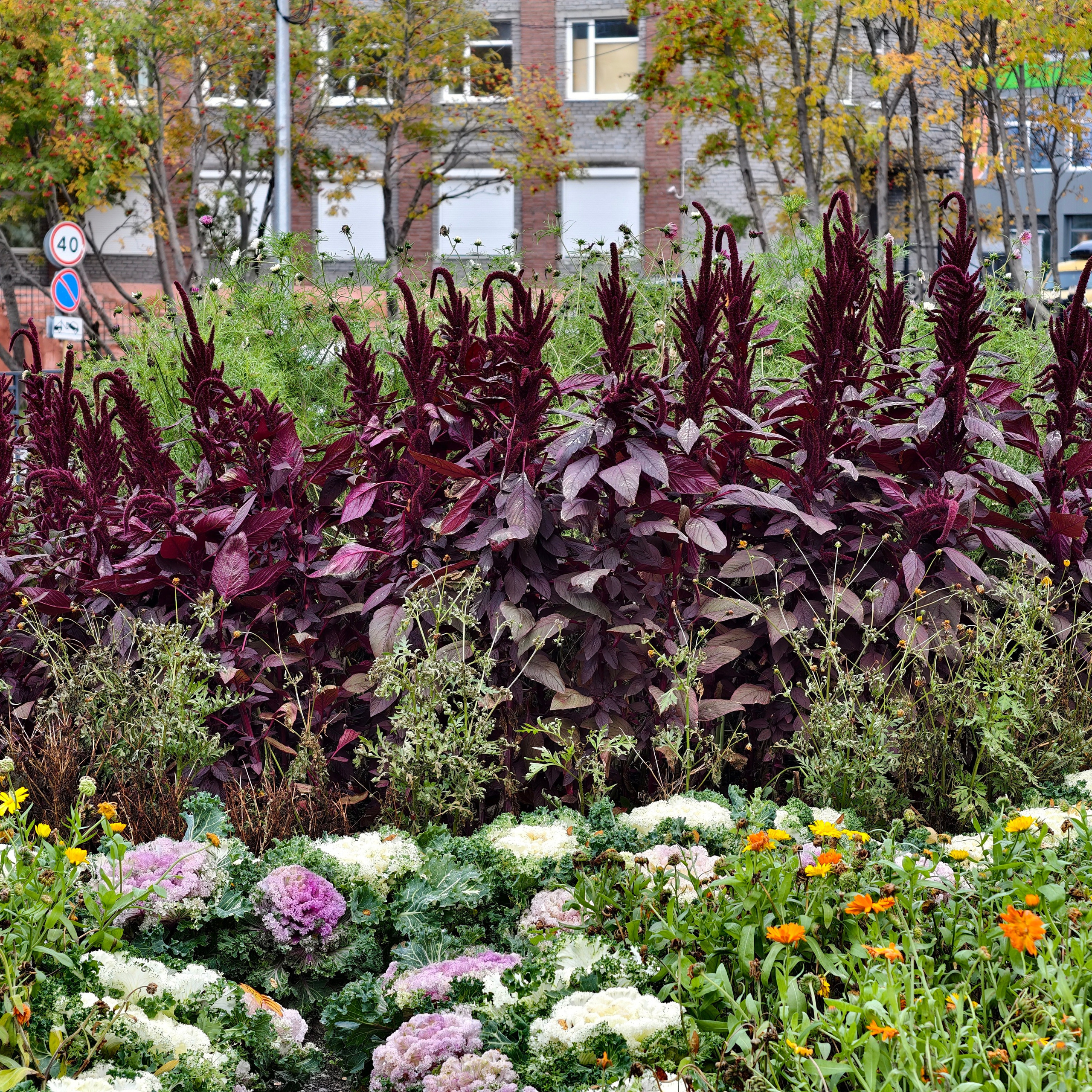 В ожидании осени by Djobs. Студия Джобса