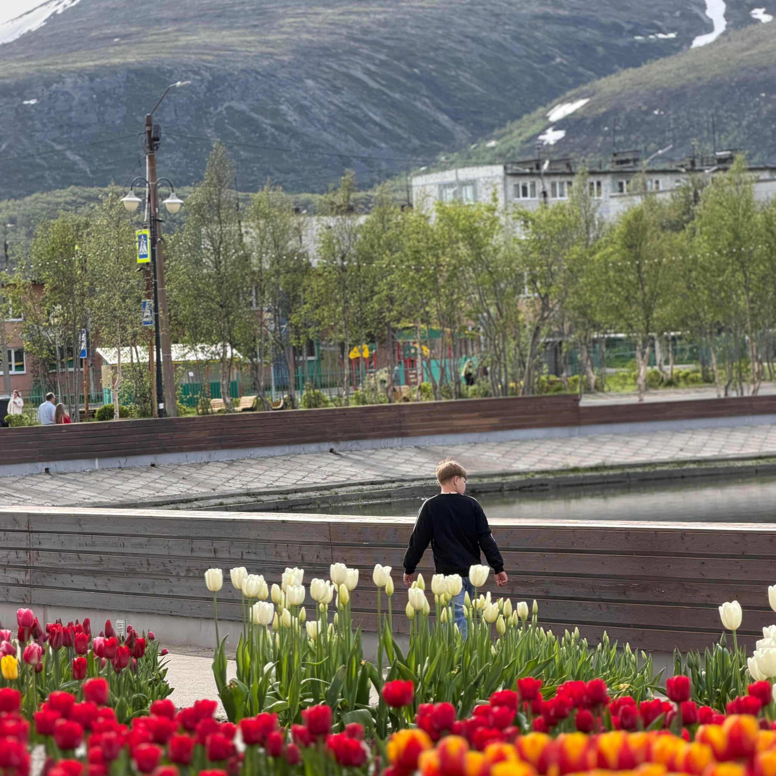 Пусть будет нарядной Земля. Студия Джобса