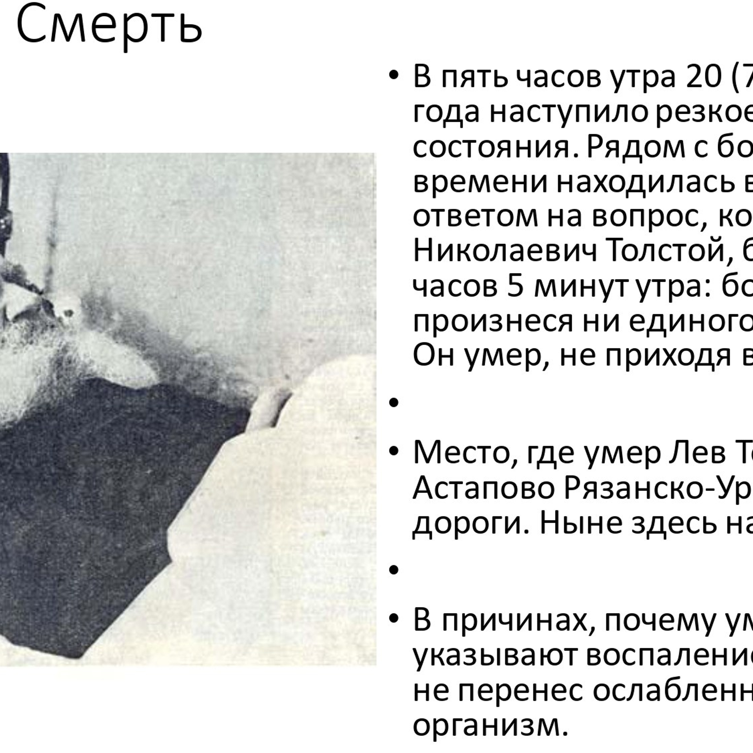 Сухорученкова Валерия «Л. Н. Толстой»