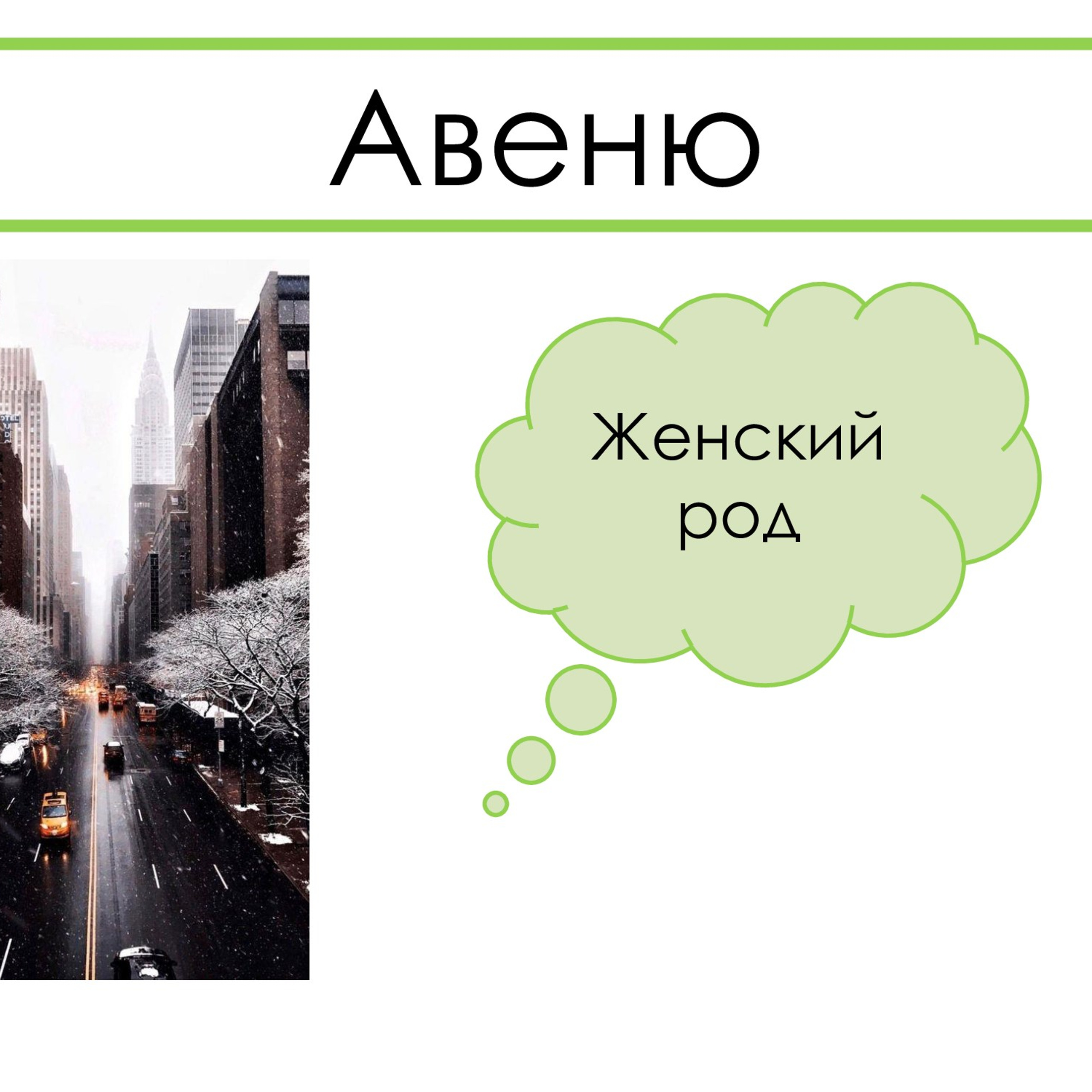 «Род несклоняемых имён существительных»
