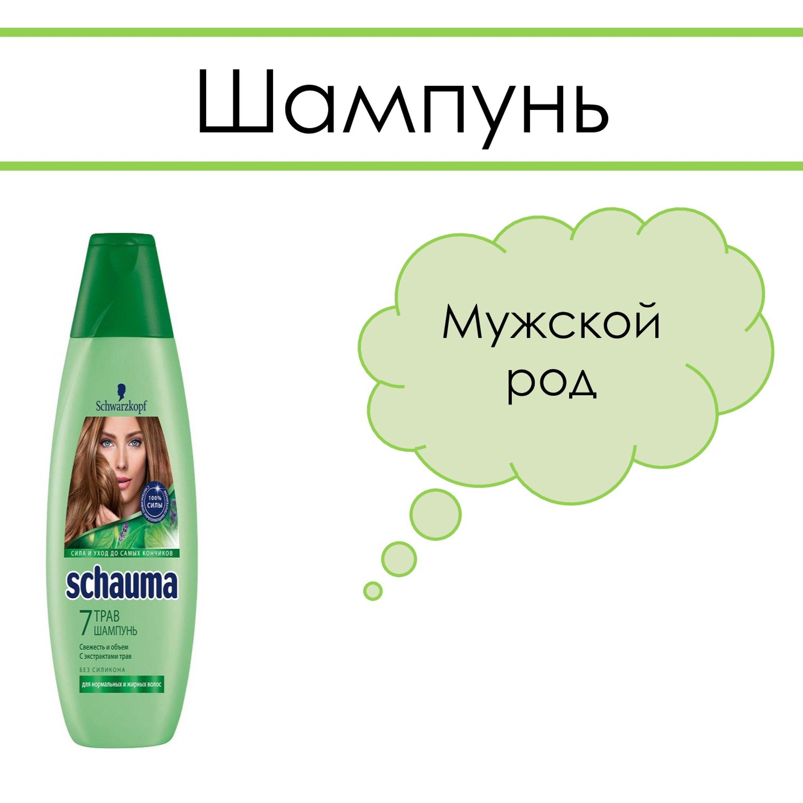 «Род несклоняемых имён существительных»