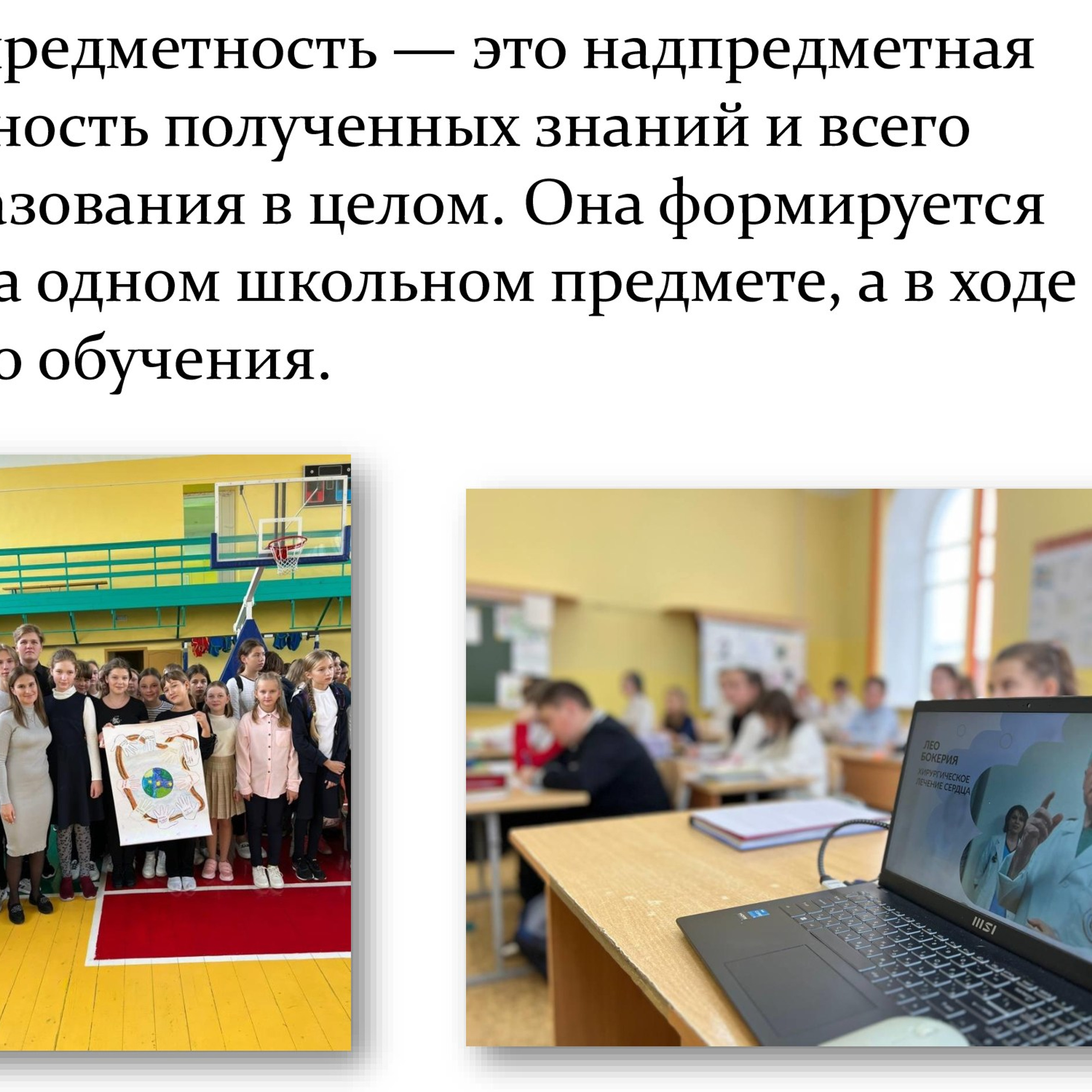 «Читательская грамотность как метапредметный образовательный результат»