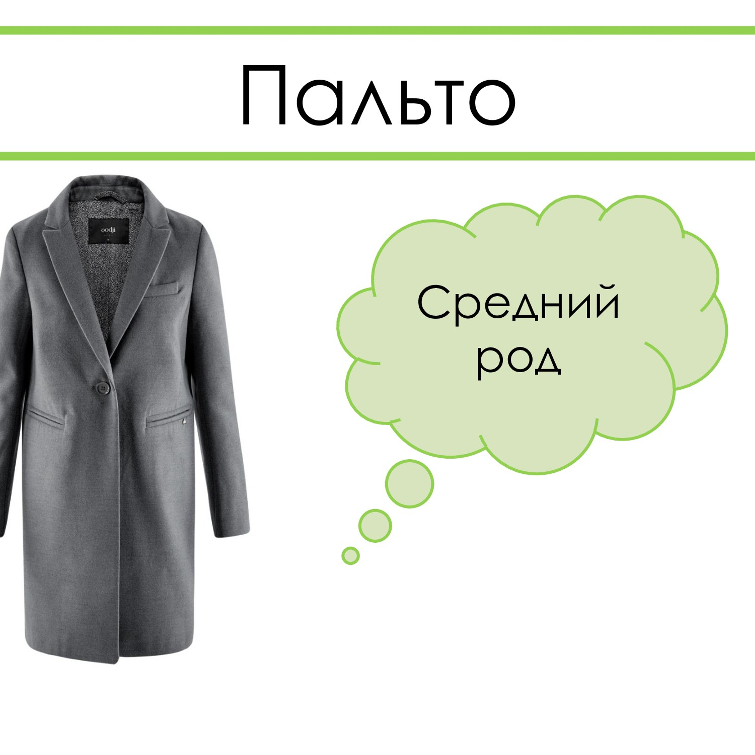«Род несклоняемых имён существительных»