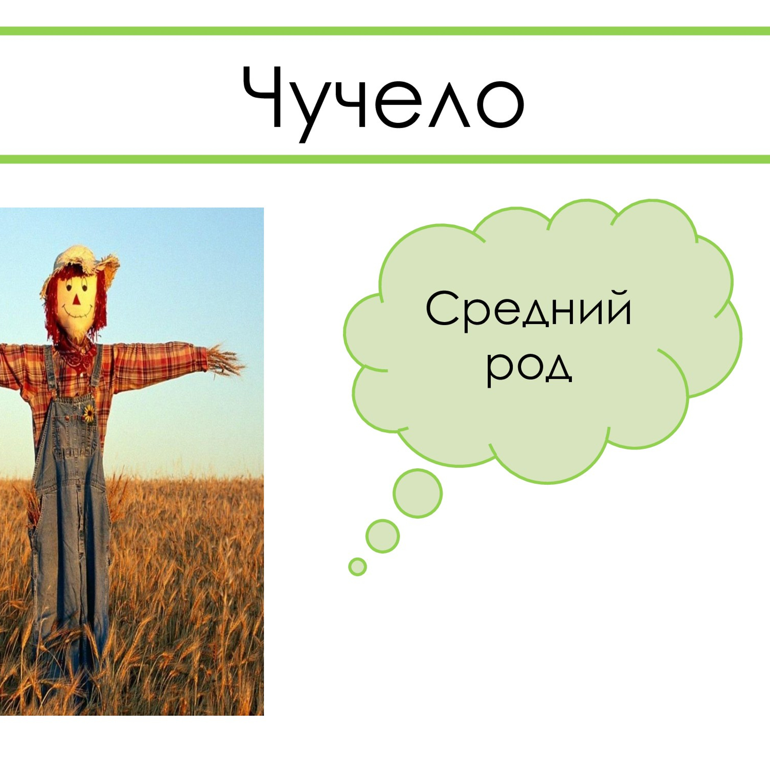 «Род несклоняемых имён существительных»