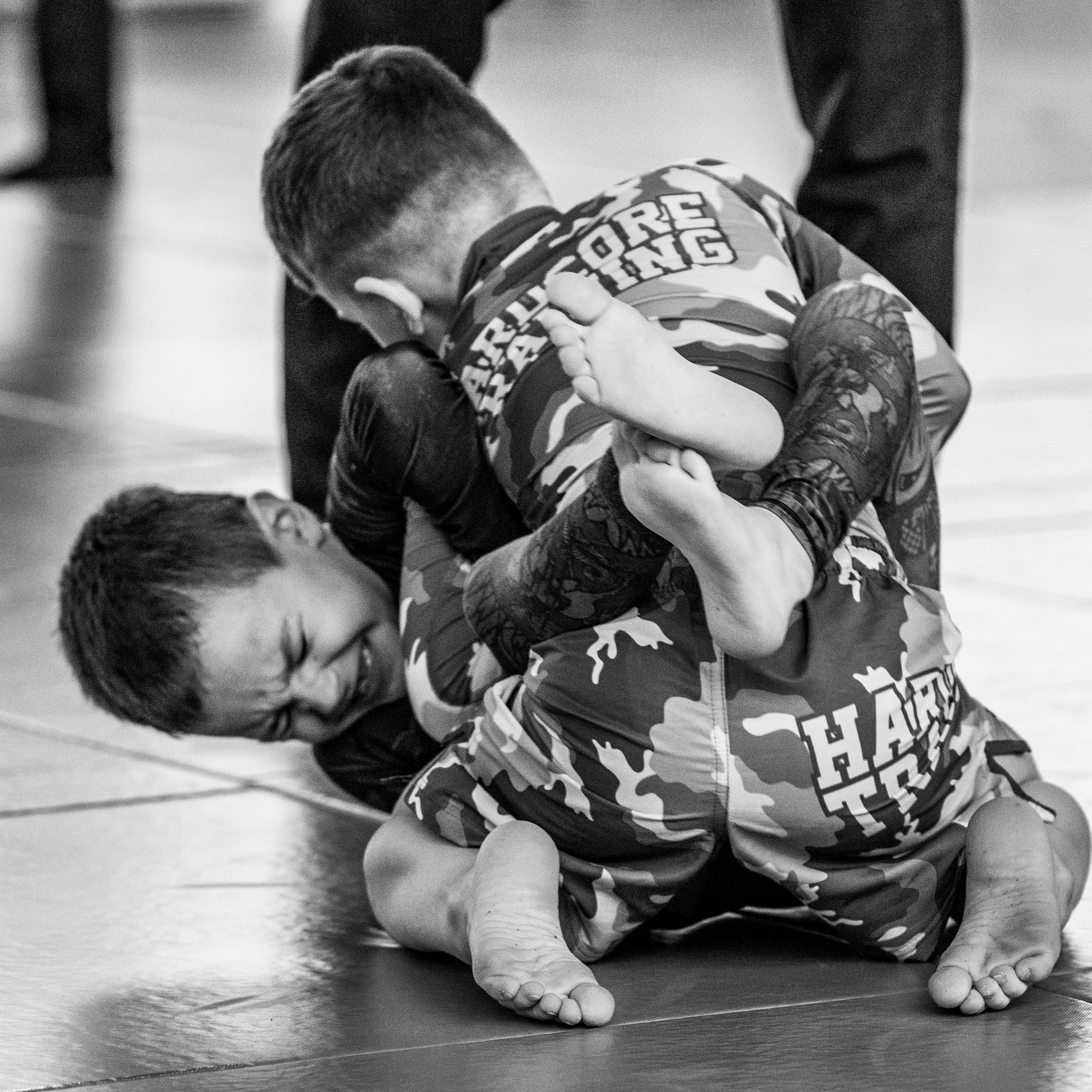 Бразильское джиуджитсу