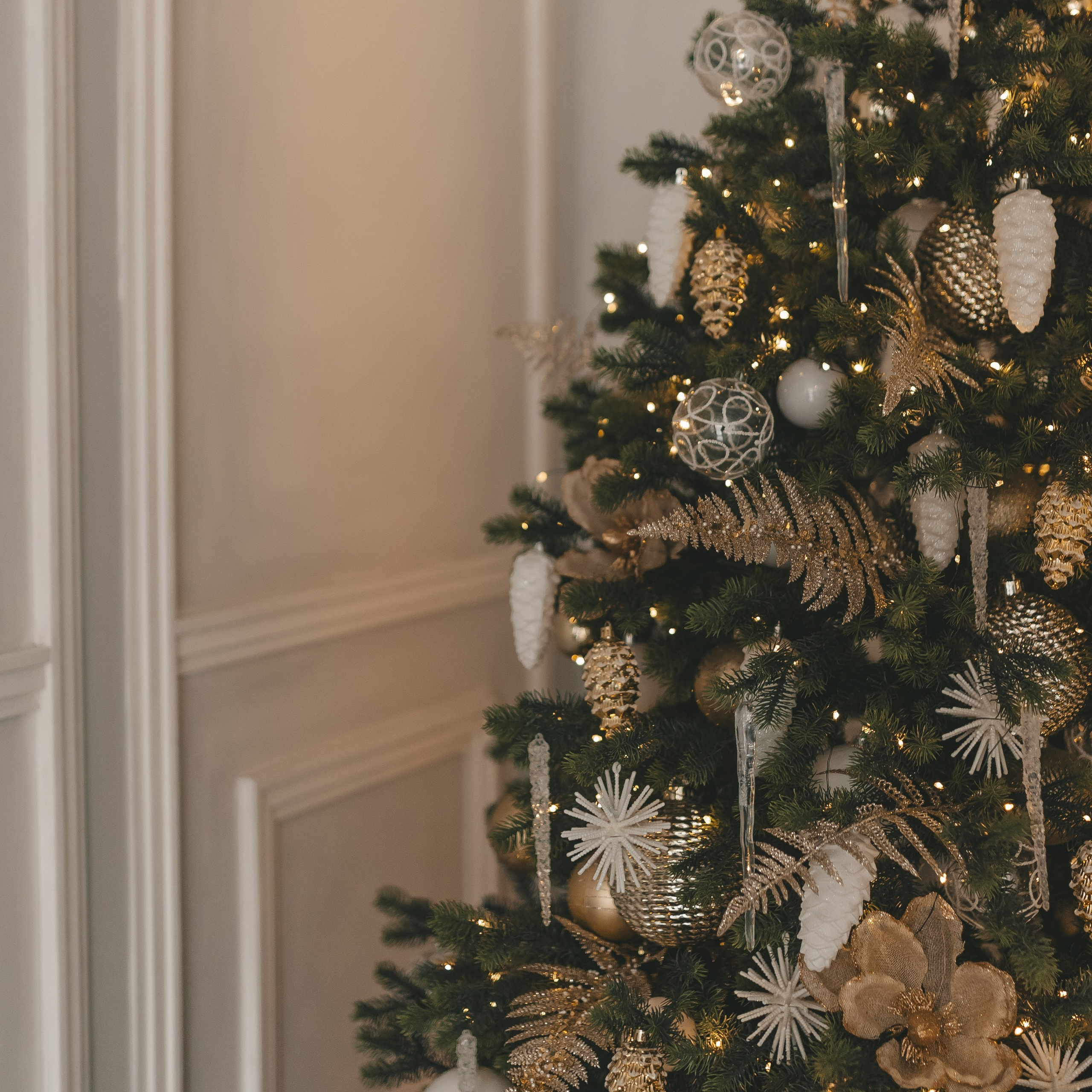 Отзывы. Семейный, свадебный фотограф в Чите Екатерина Мельникова