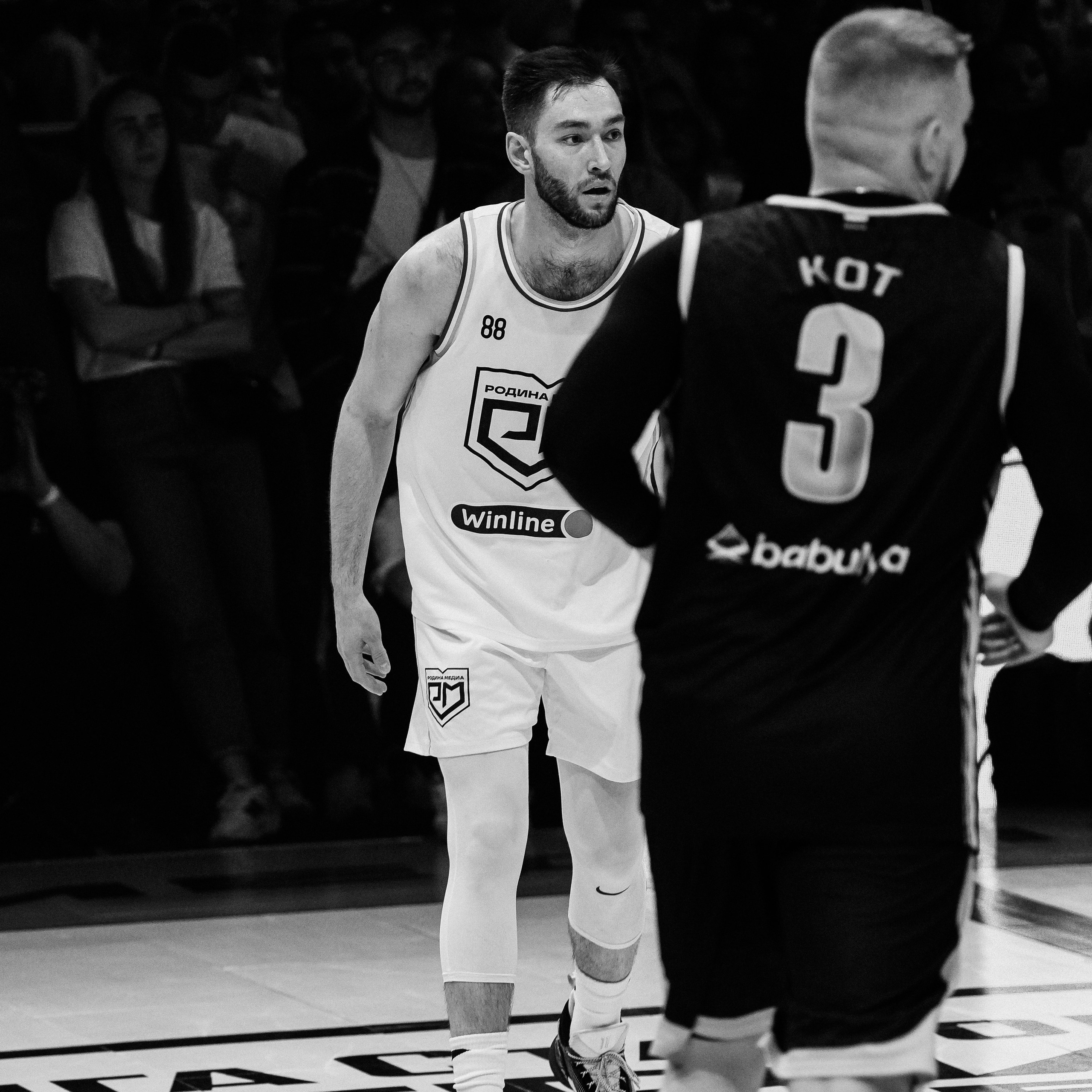 MEDIA BASKET 2024. ZAVALIHINA.RU