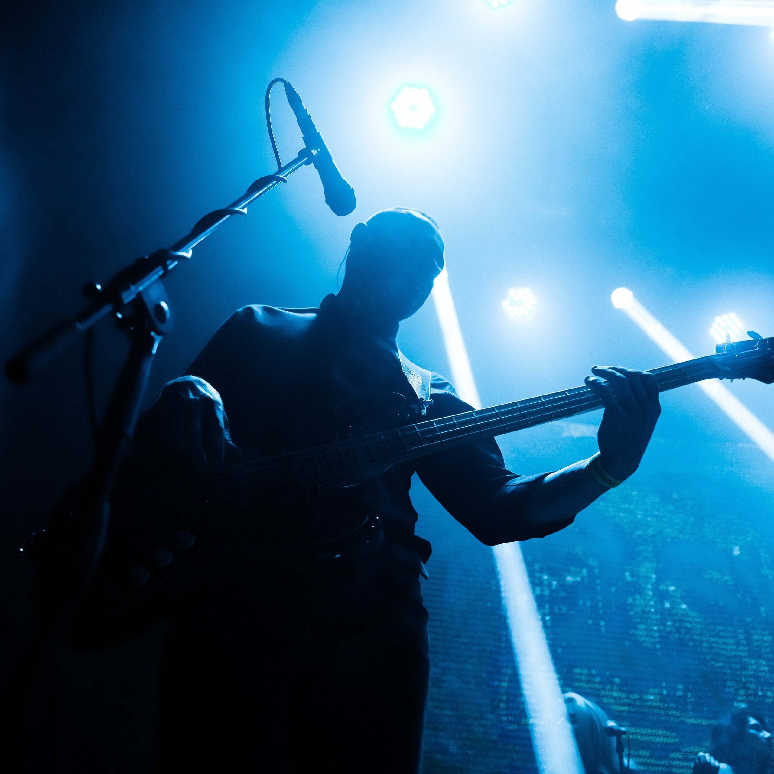 Смысловые галюцинации. ZAVALIHINA.RU