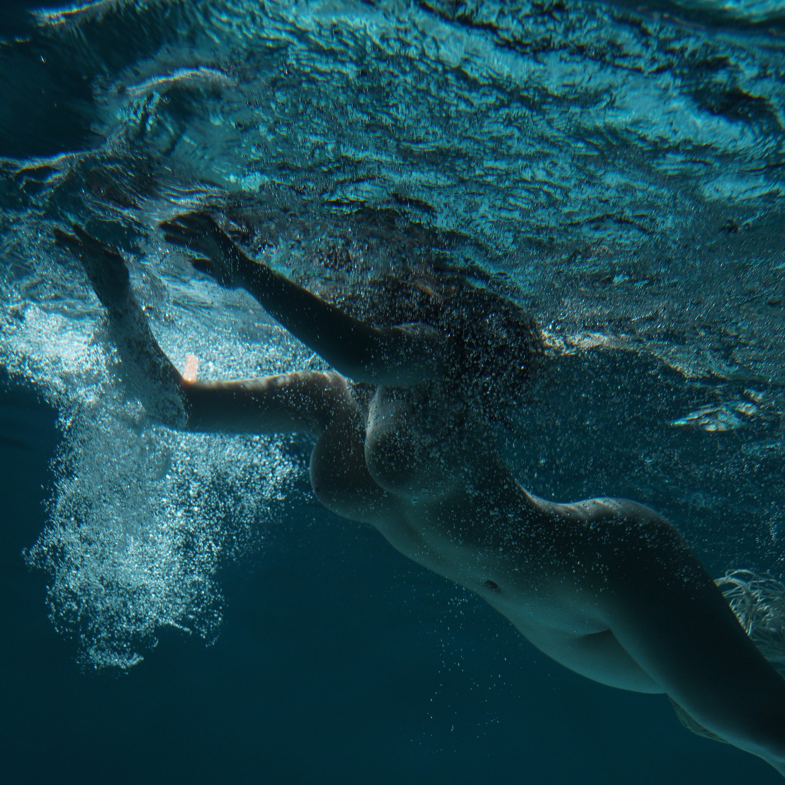 Галерея 68. ZAVALIHINA.RU