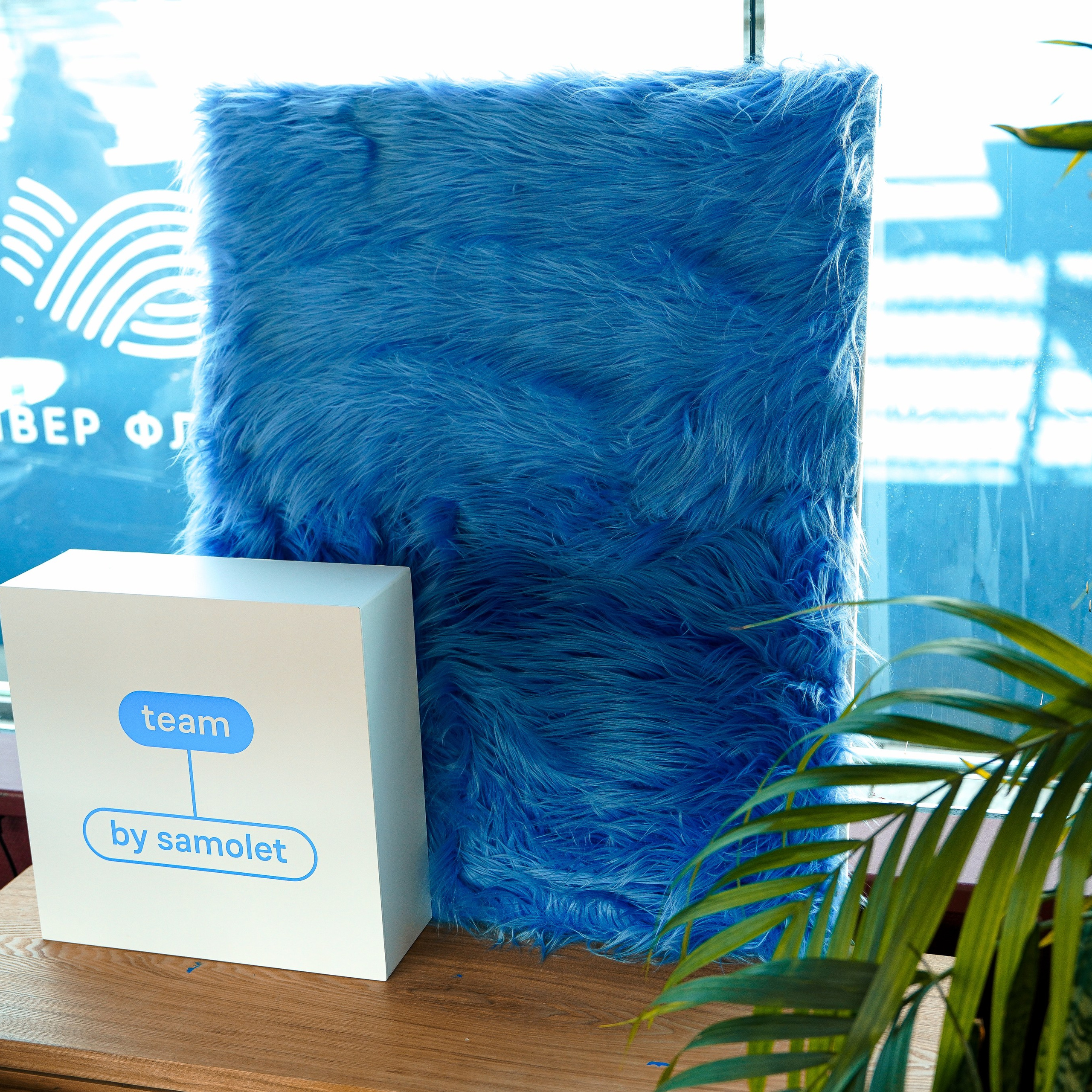 Компания «Самолет». ZAVALIHINA.RU