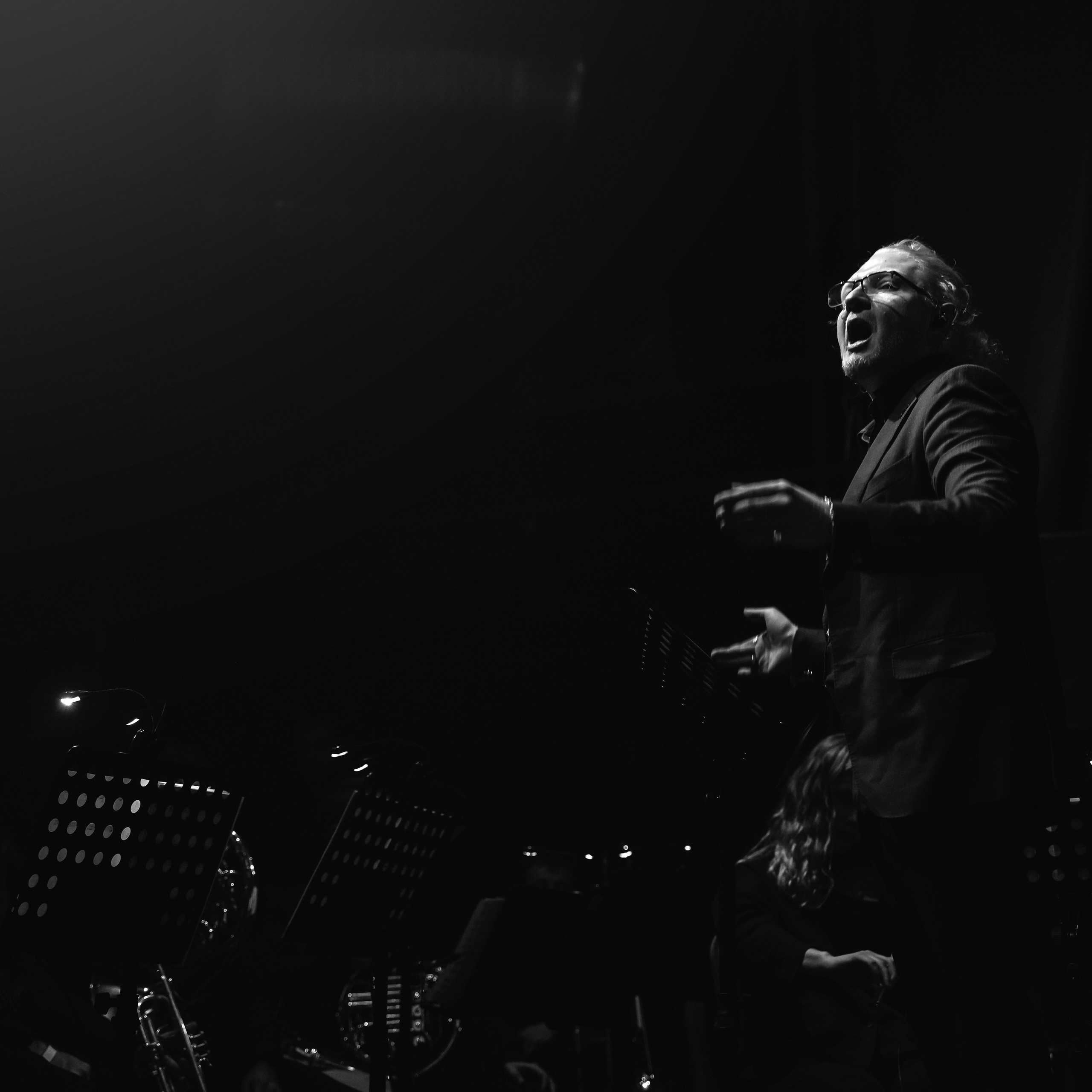 Смысловые галюцинации.Юбилейный концерт с симфоническим оркестром. ZAVALIHINA.RU