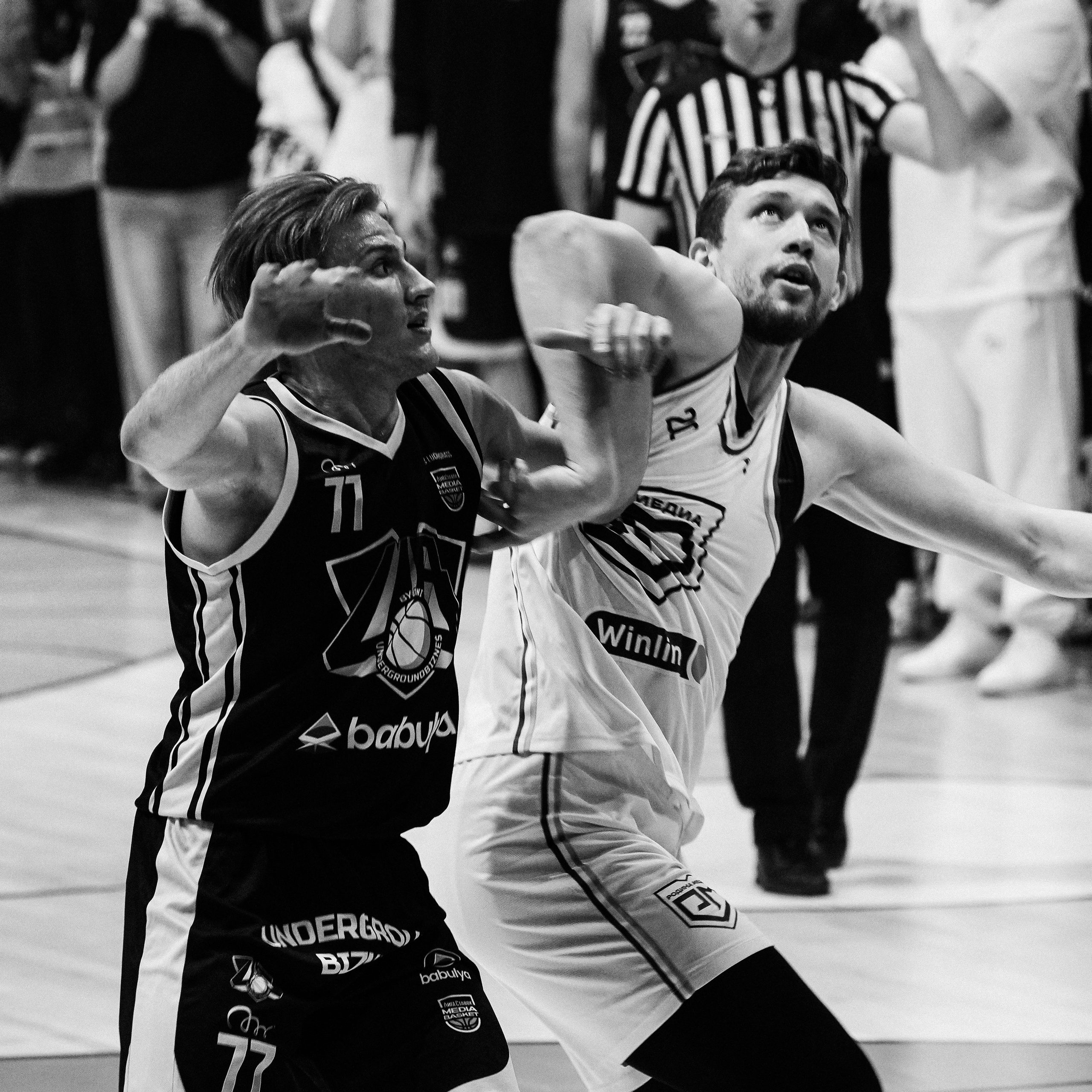 MEDIA BASKET 2024. ZAVALIHINA.RU