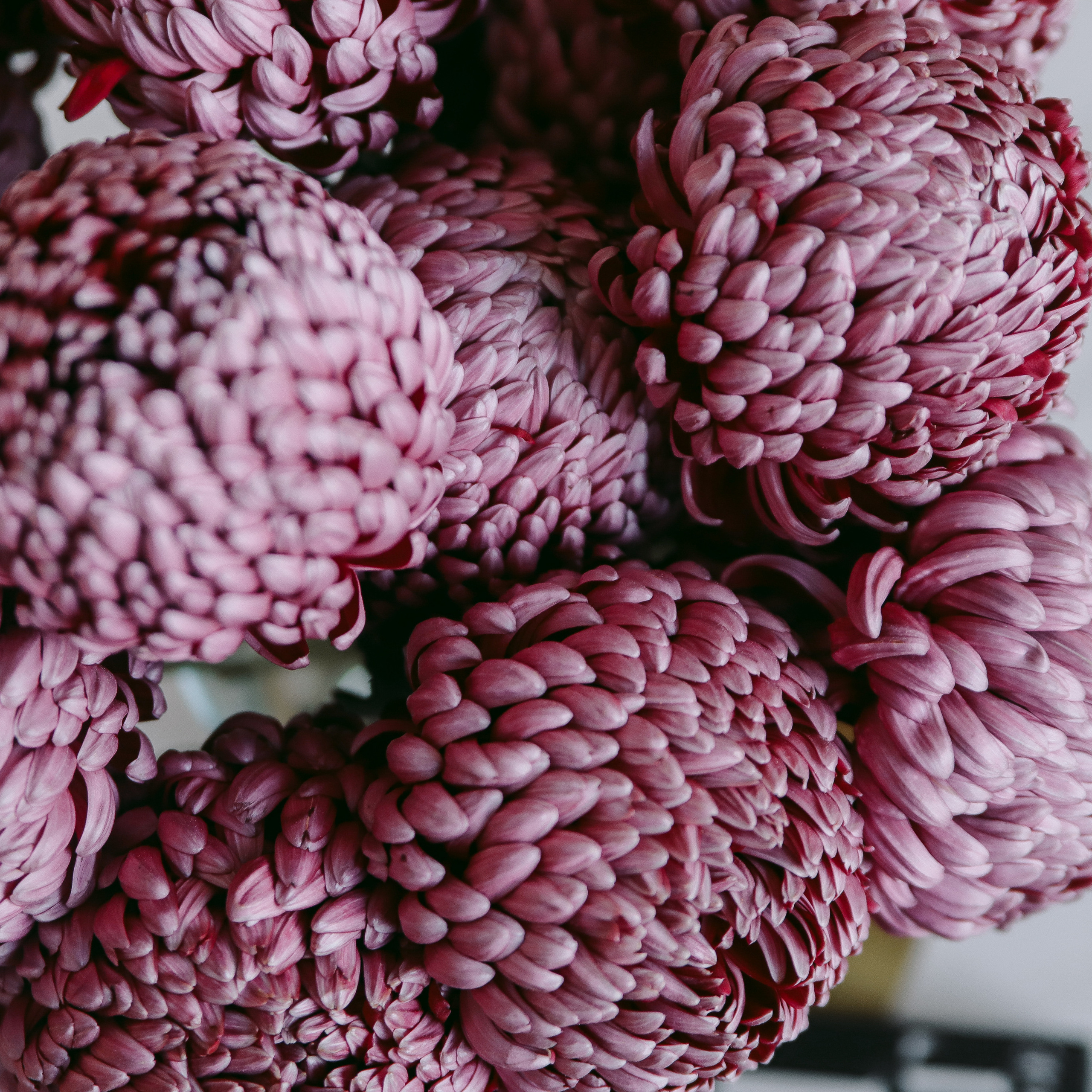 Галерея 4. ZAVALIHINA.RU