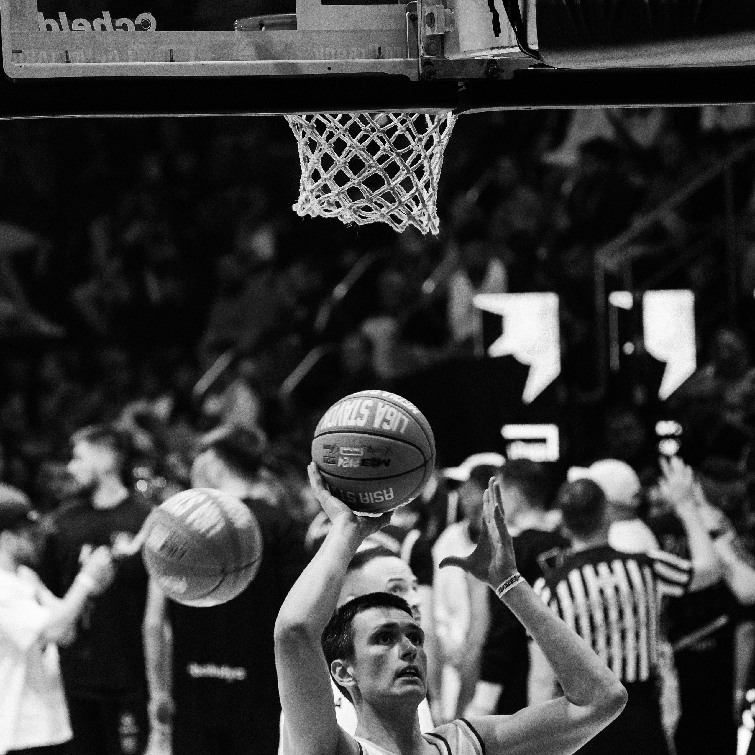 MEDIA BASKET 2024. ZAVALIHINA.RU