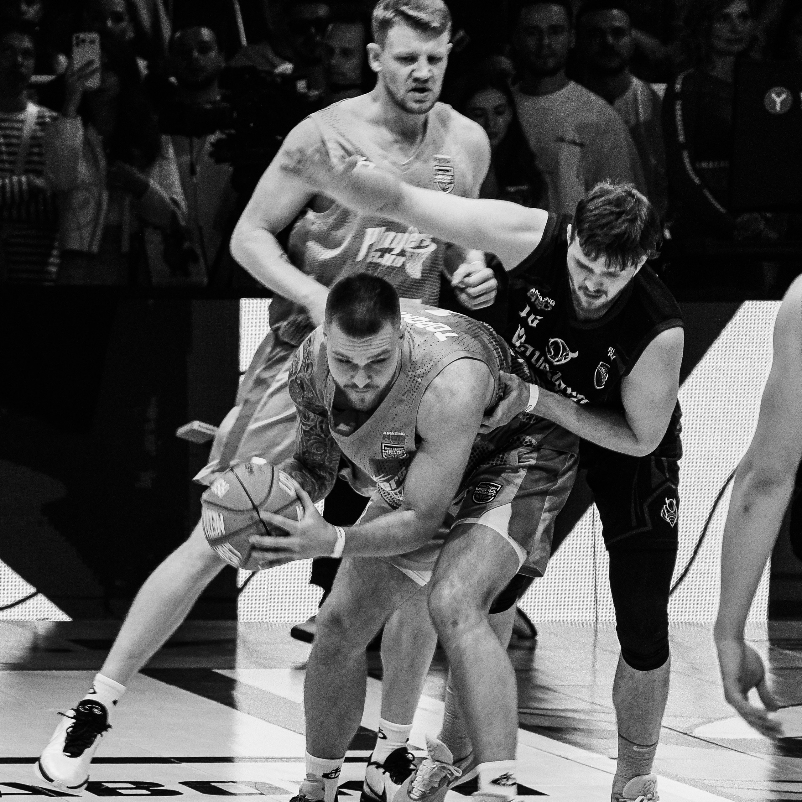 MEDIA BASKET 2024. ZAVALIHINA.RU