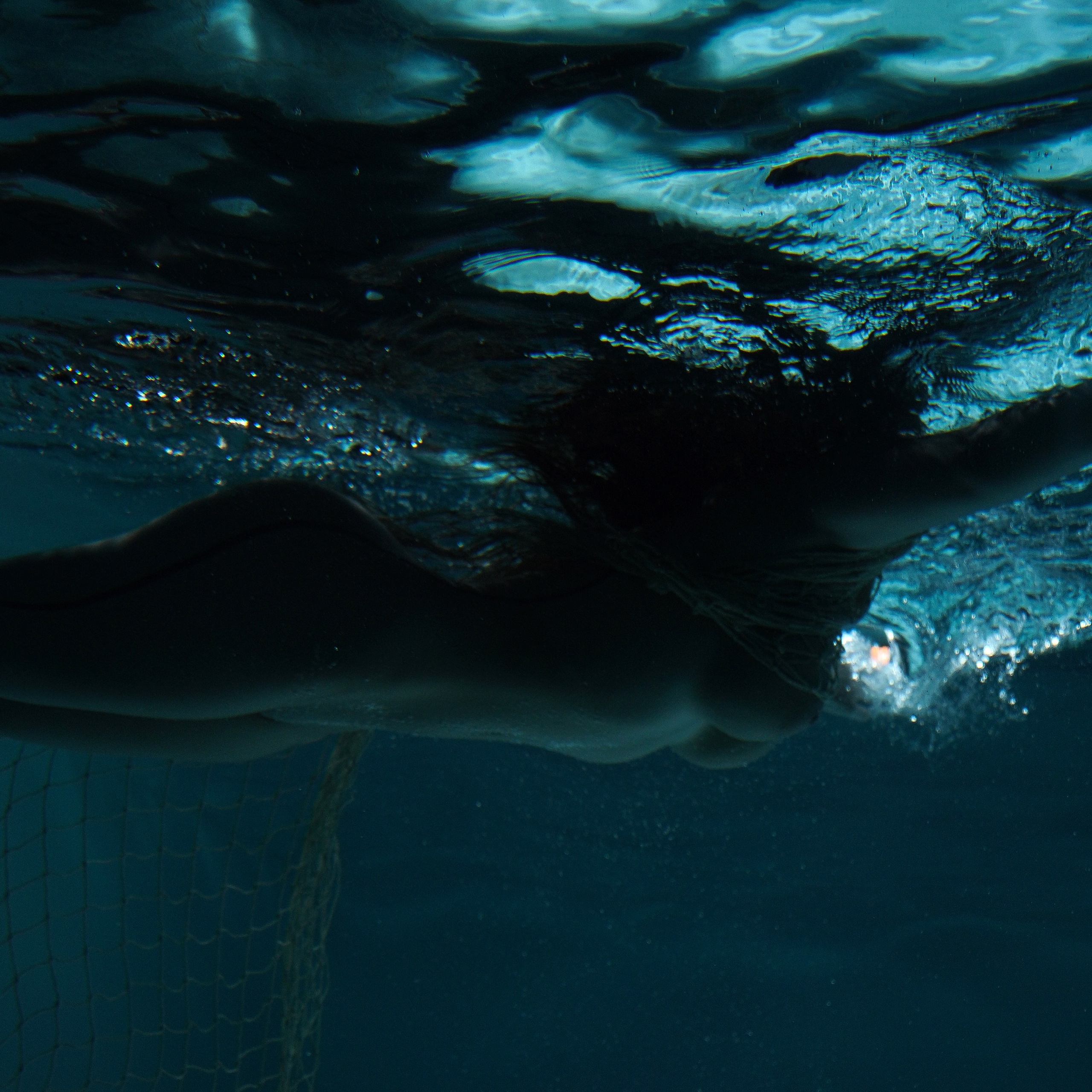 Галерея 68. ZAVALIHINA.RU