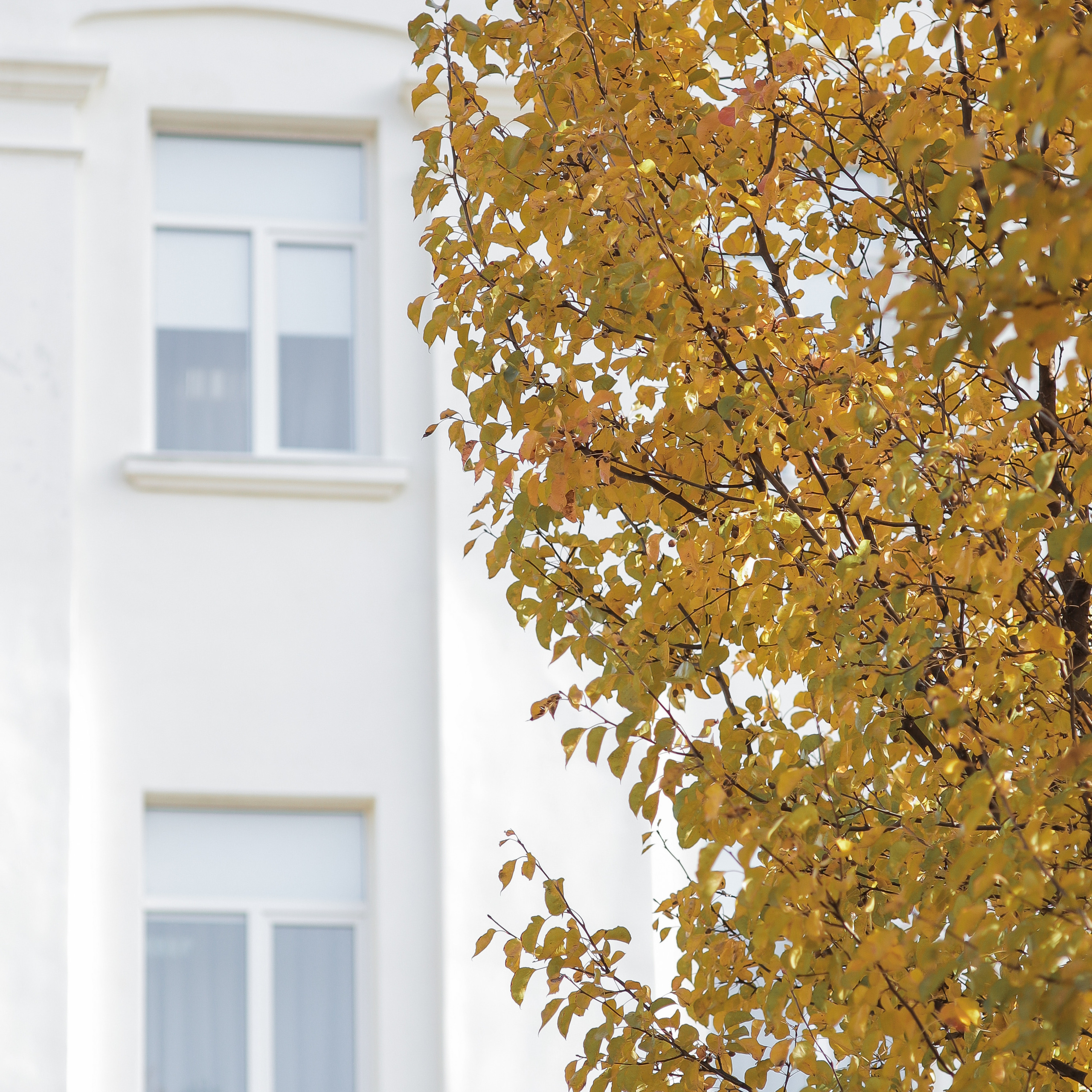 Галерея 4. ZAVALIHINA.RU