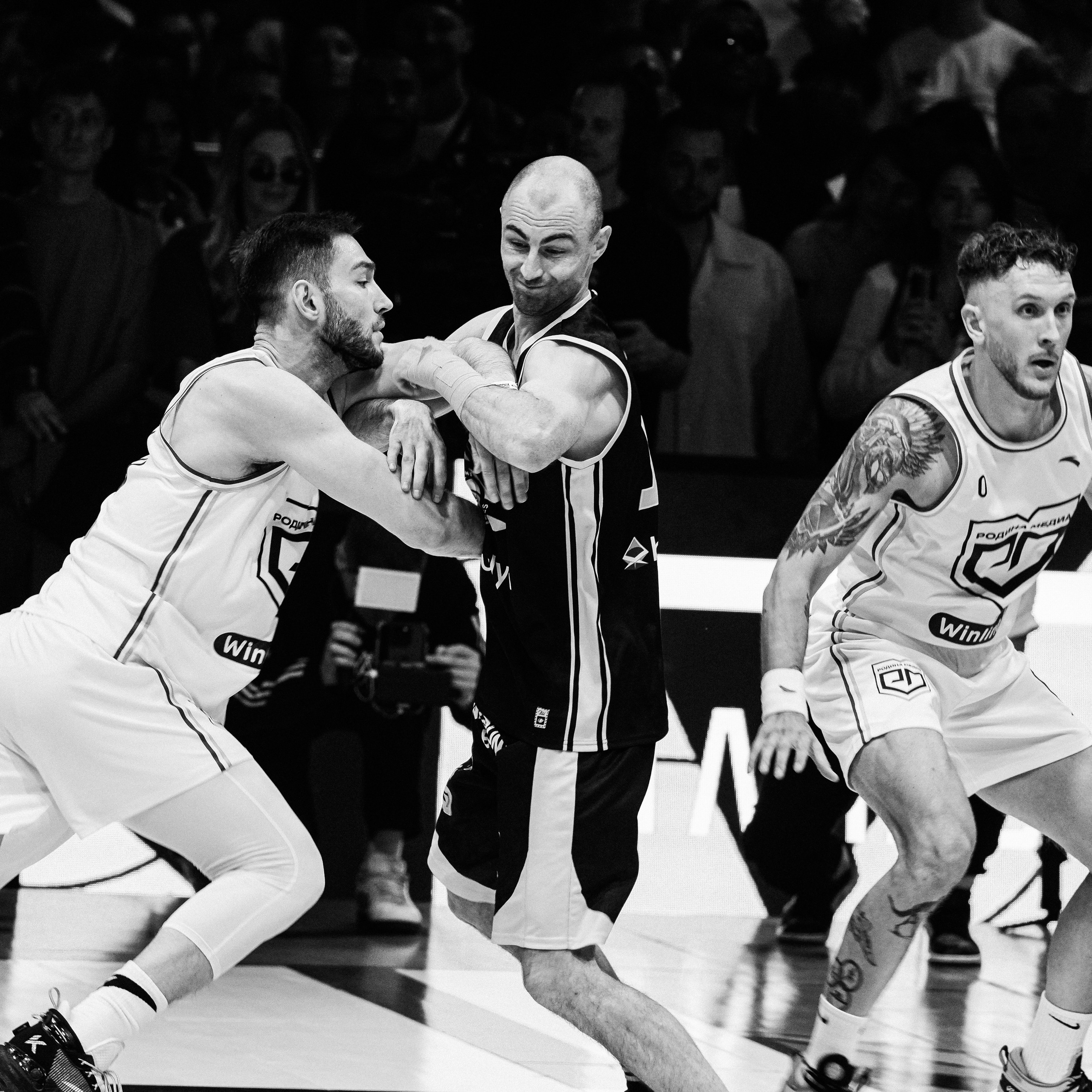 MEDIA BASKET 2024. ZAVALIHINA.RU