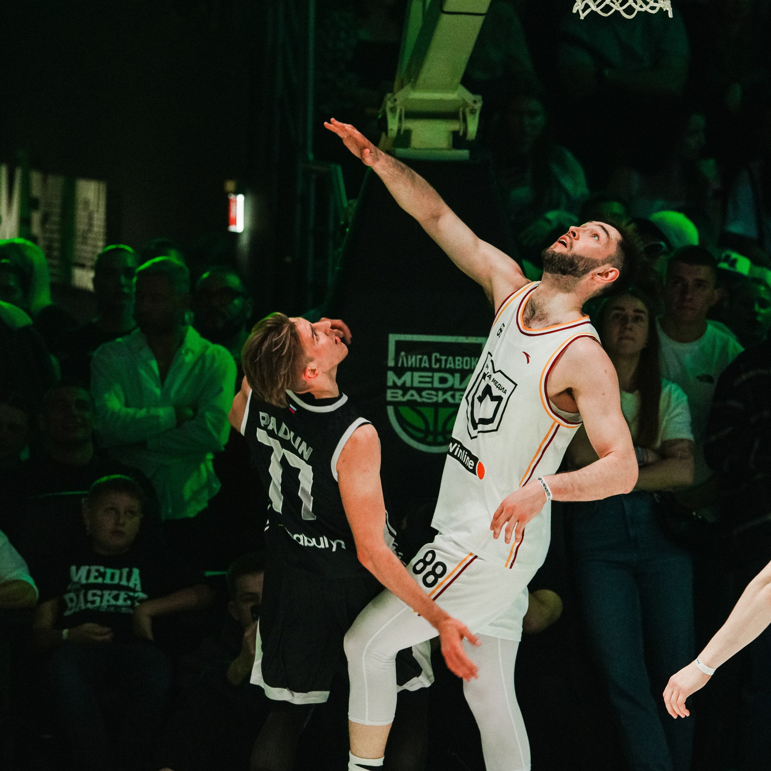 MEDIA BASKET 2024. ZAVALIHINA.RU