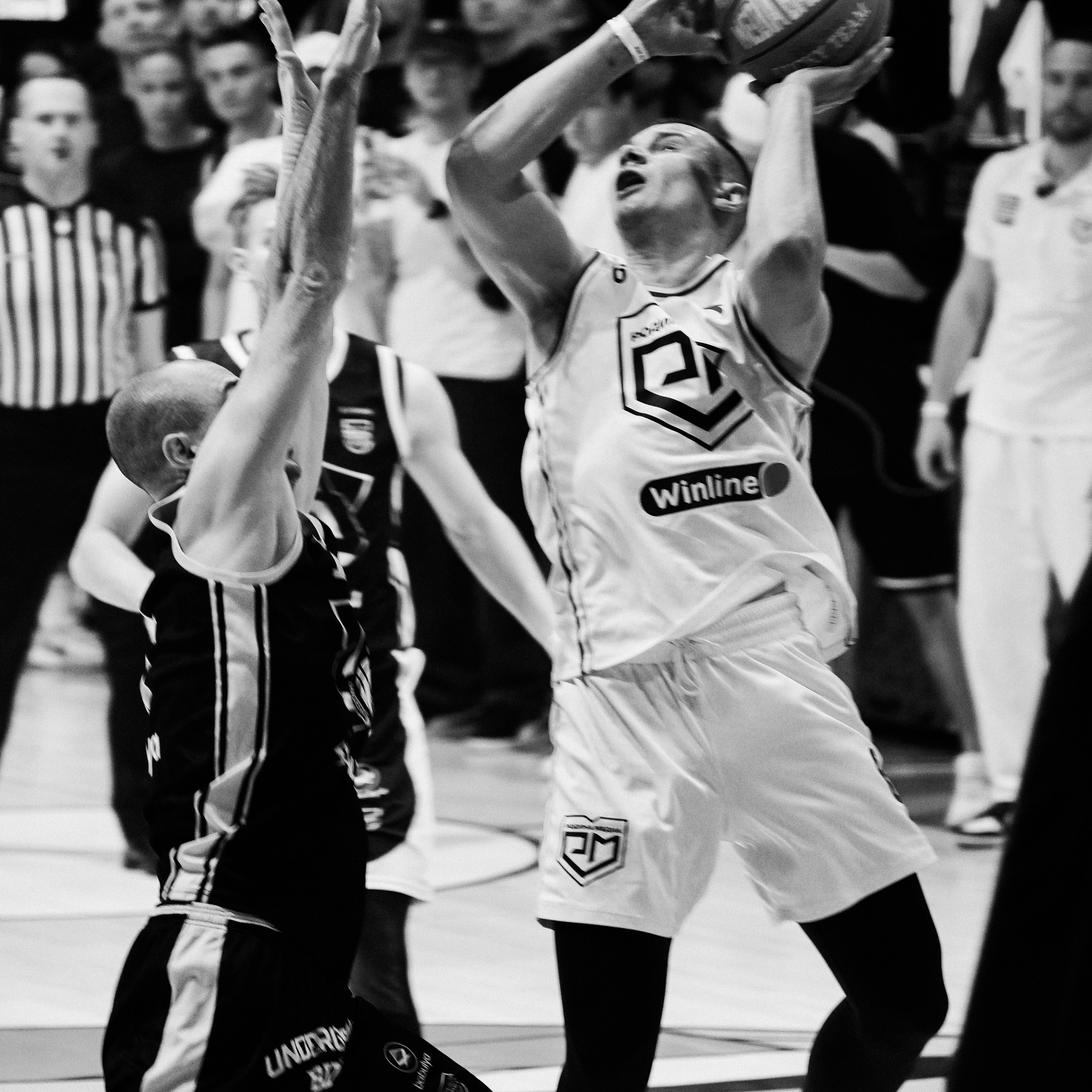 MEDIA BASKET 2024. ZAVALIHINA.RU