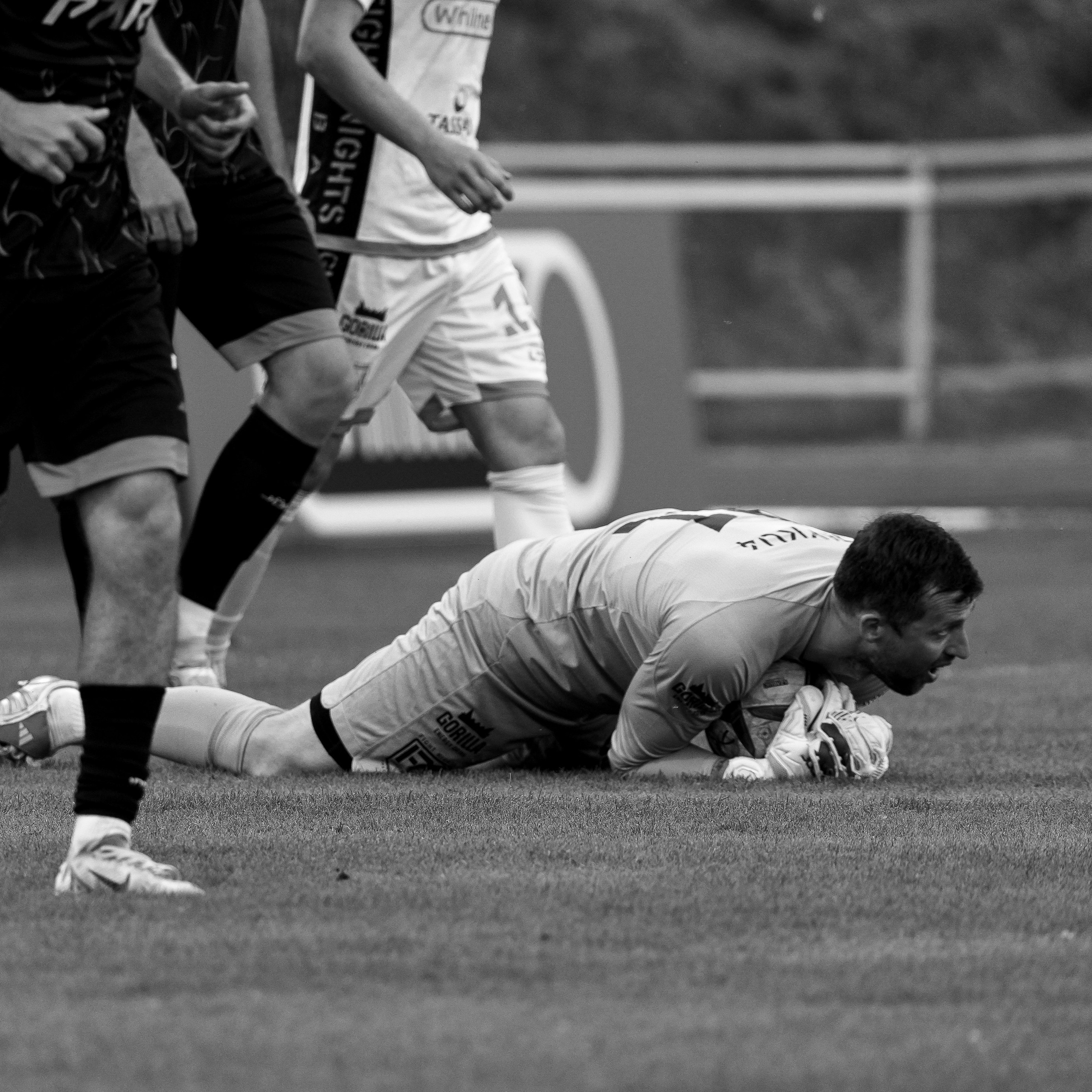 MEDIA FOOTBALL 2024. ZAVALIHINA.RU