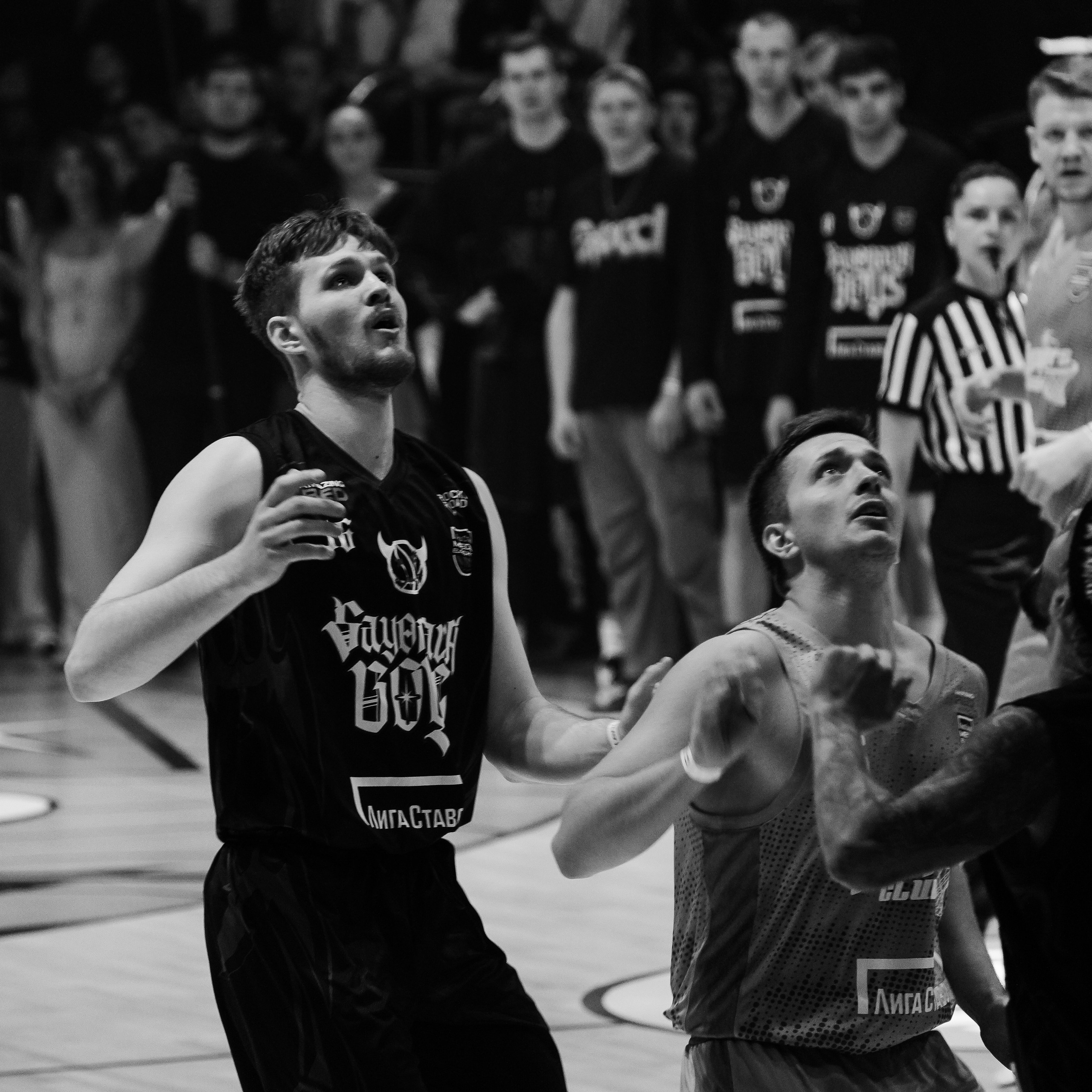 MEDIA BASKET 2024. ZAVALIHINA.RU