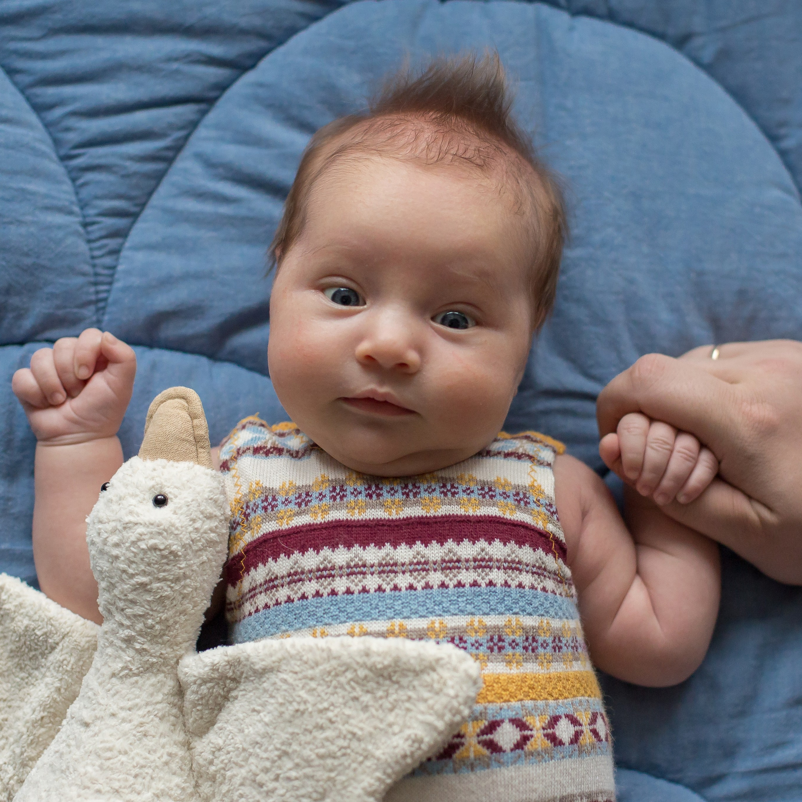 Отзывы. Ольга Анохина фотограф новорождённых в Зеленодольске