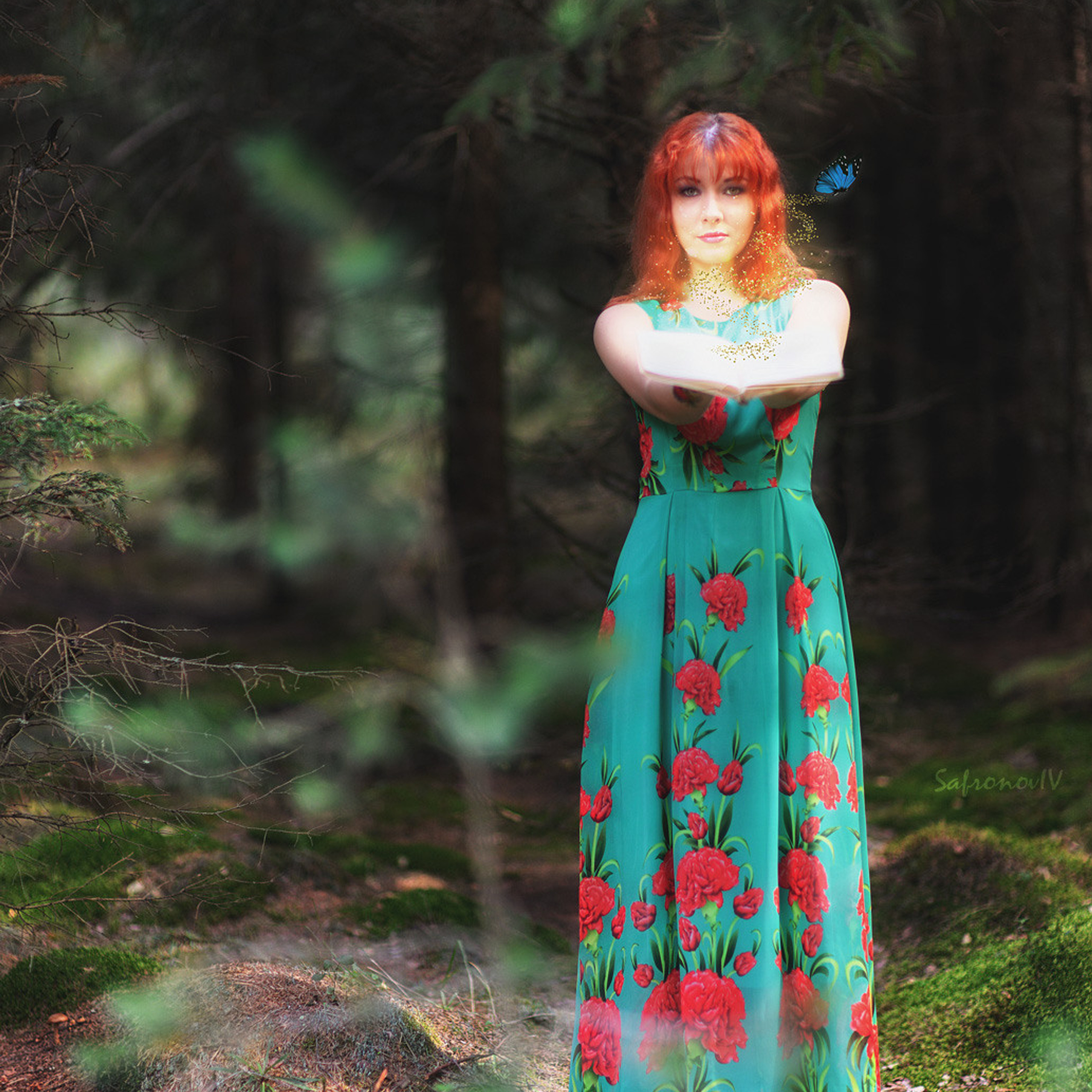 Лесной фотоколлаж