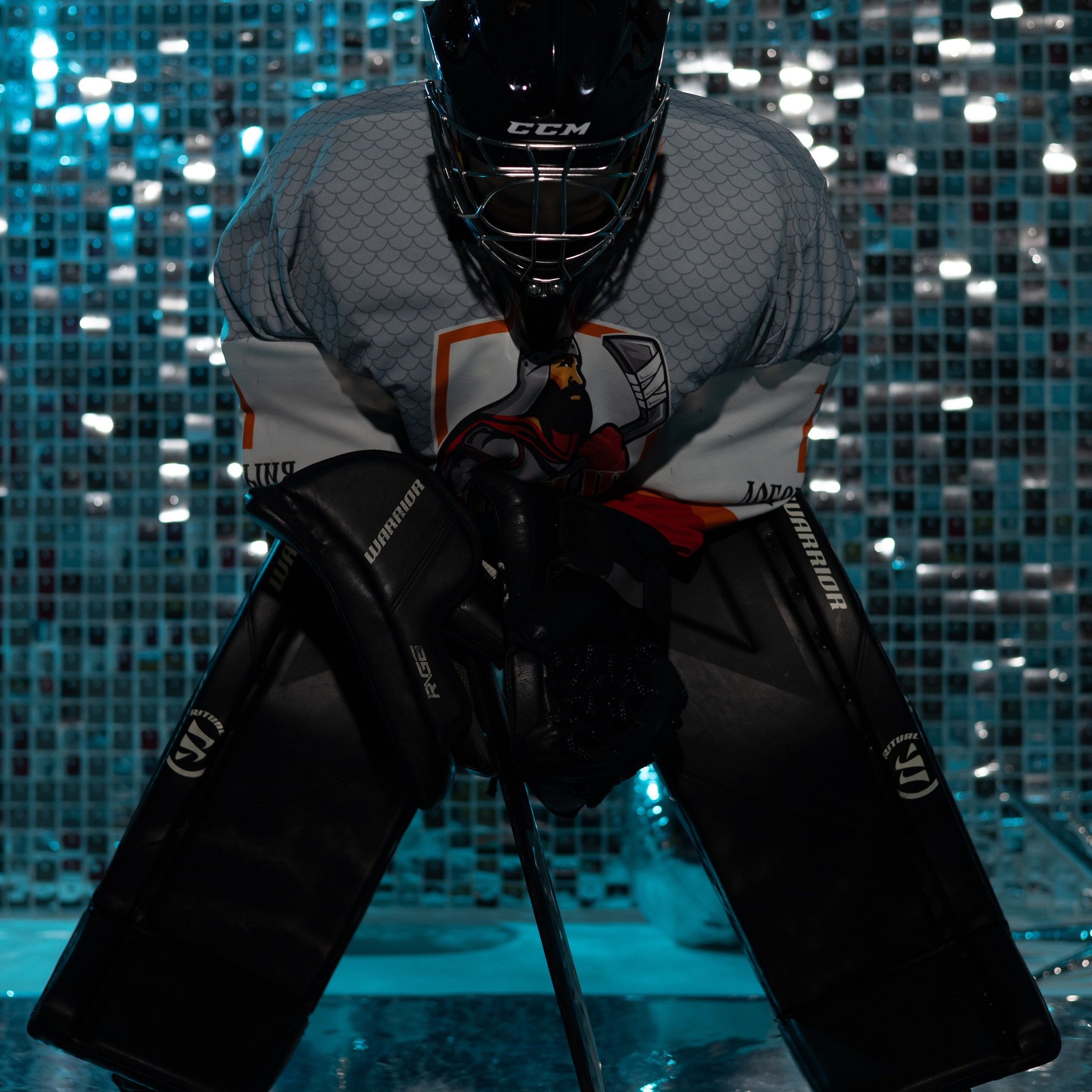 Хоккейная семья