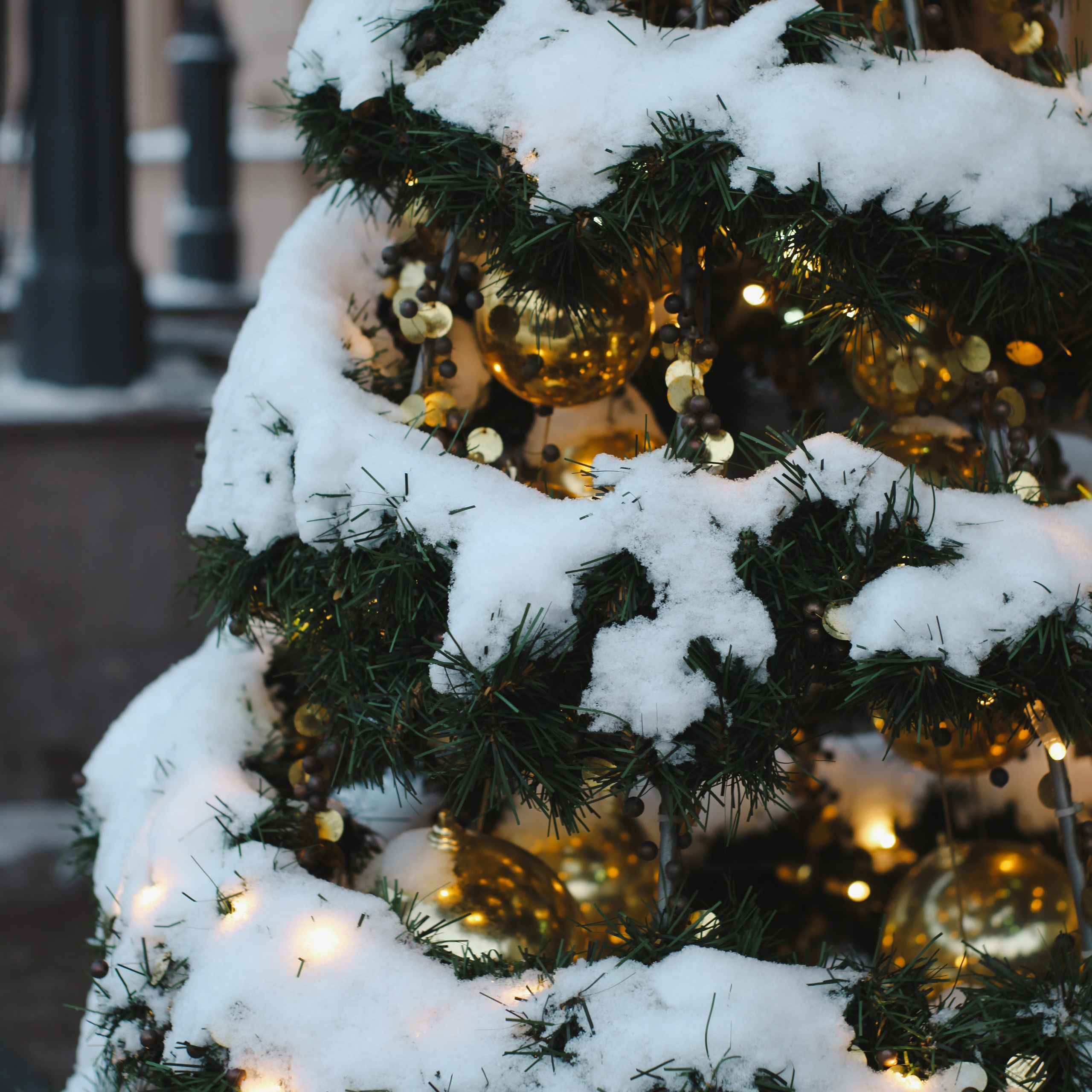 Петербург. Событийный фотограф в Пушкино Светлана Мусатова