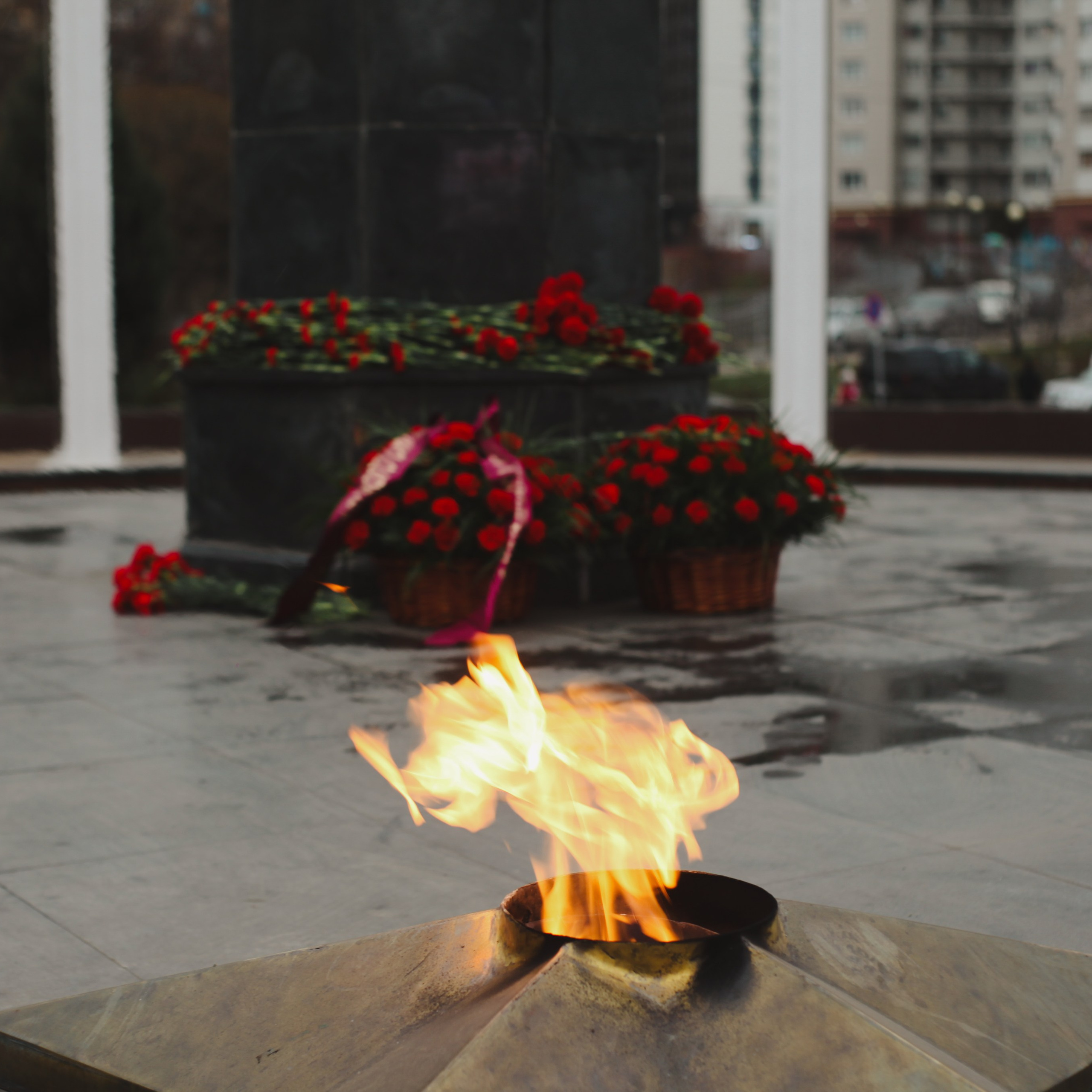 День Героев Отечества. Событийный фотограф в Пушкино Светлана Мусатова