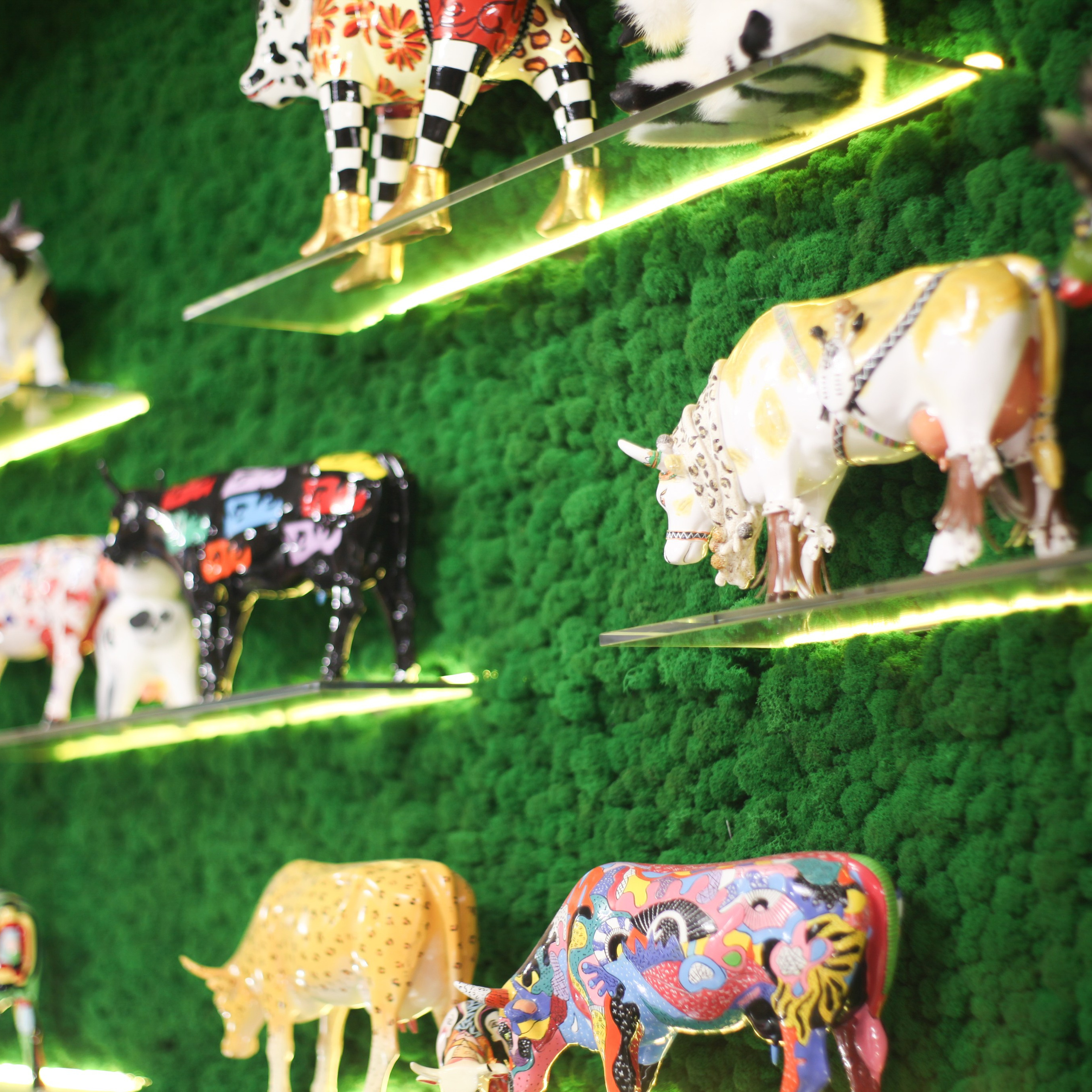 Экскурсия РостАгро. Событийный фотограф в Пушкино Светлана Мусатова