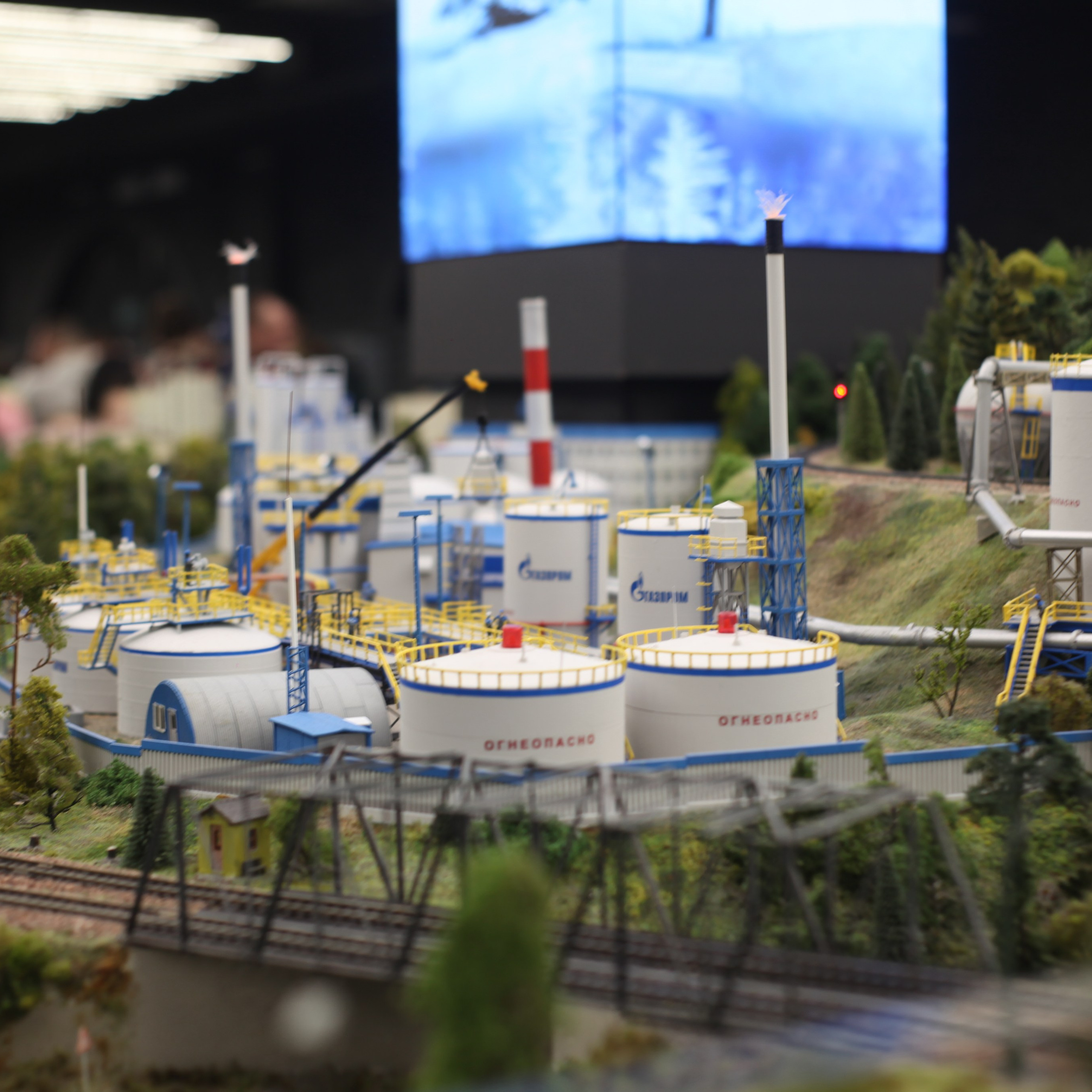 Петербург. Событийный фотограф в Пушкино Светлана Мусатова