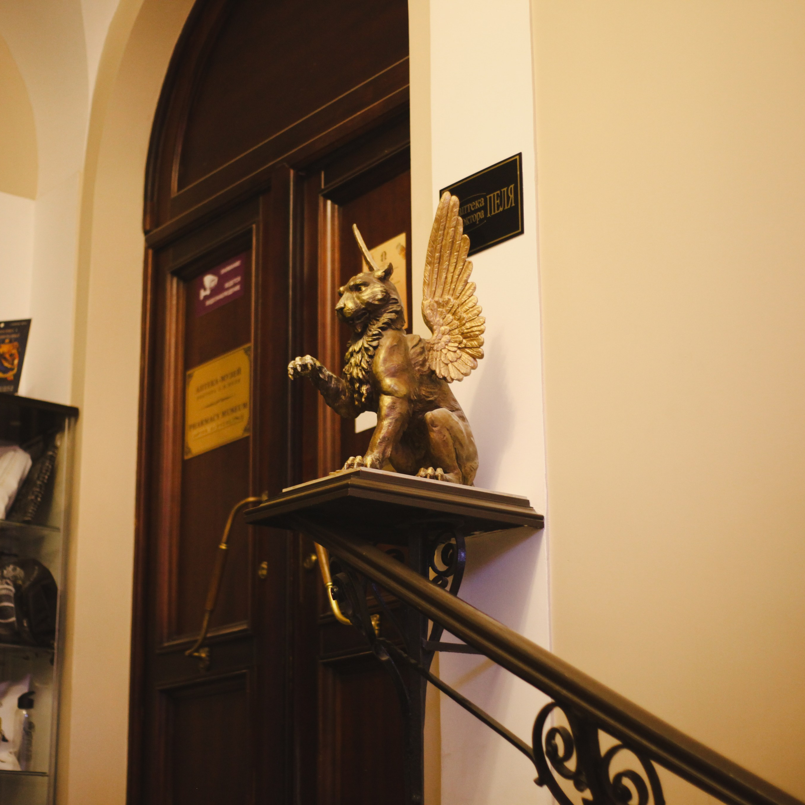 Петербург. Событийный фотограф в Пушкино Светлана Мусатова