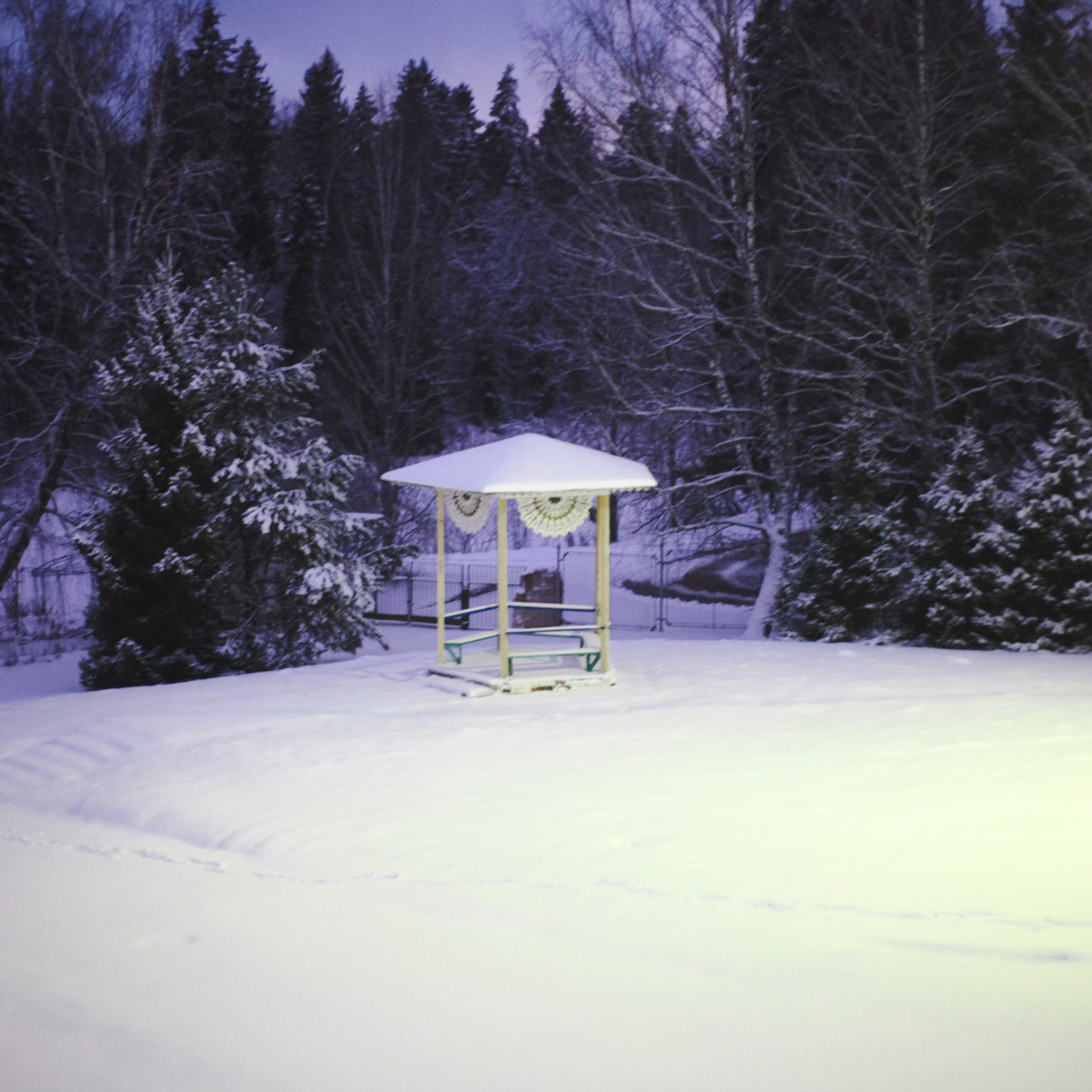ПВР Родник. Событийный фотограф в Пушкино Светлана Мусатова