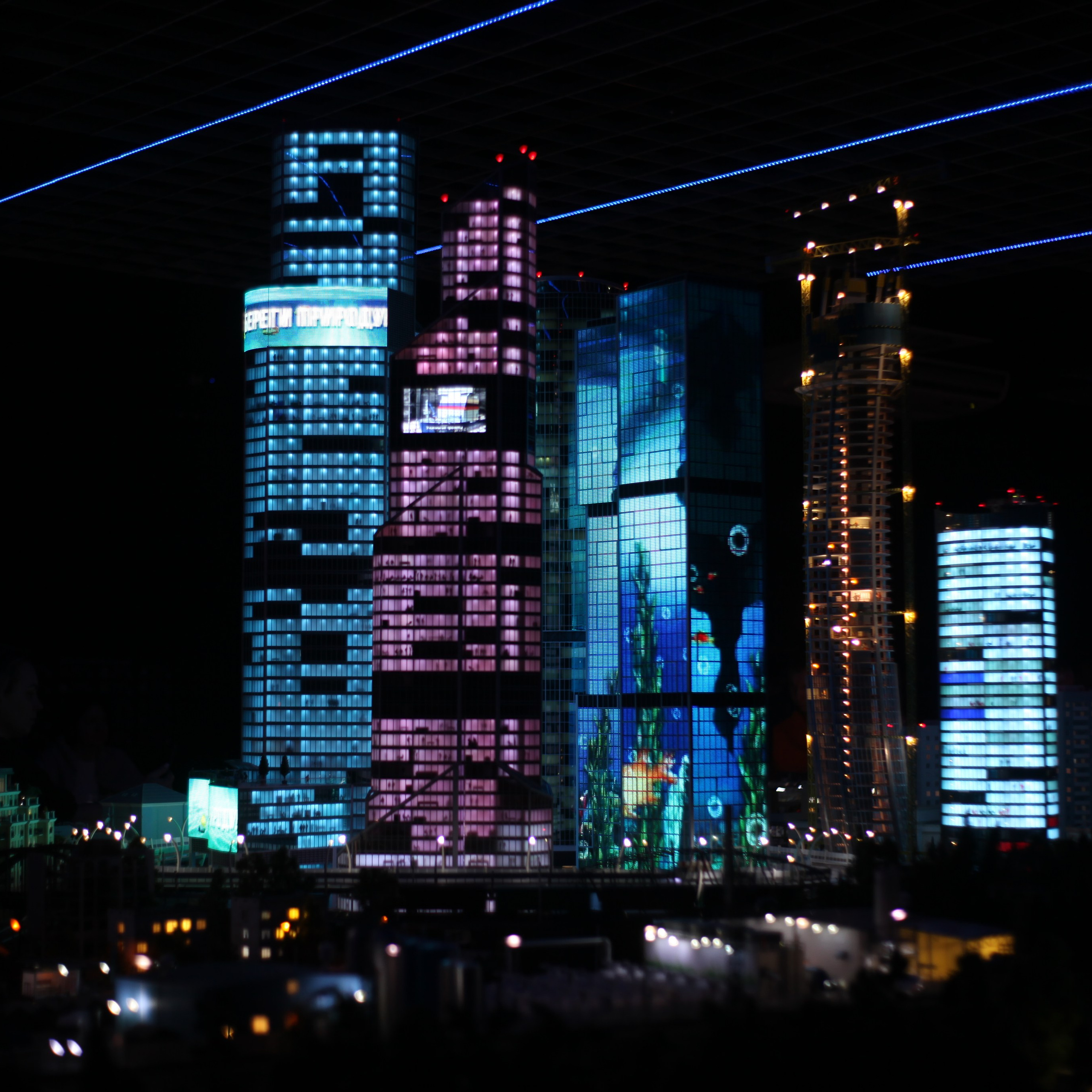 Петербург. Событийный фотограф в Пушкино Светлана Мусатова