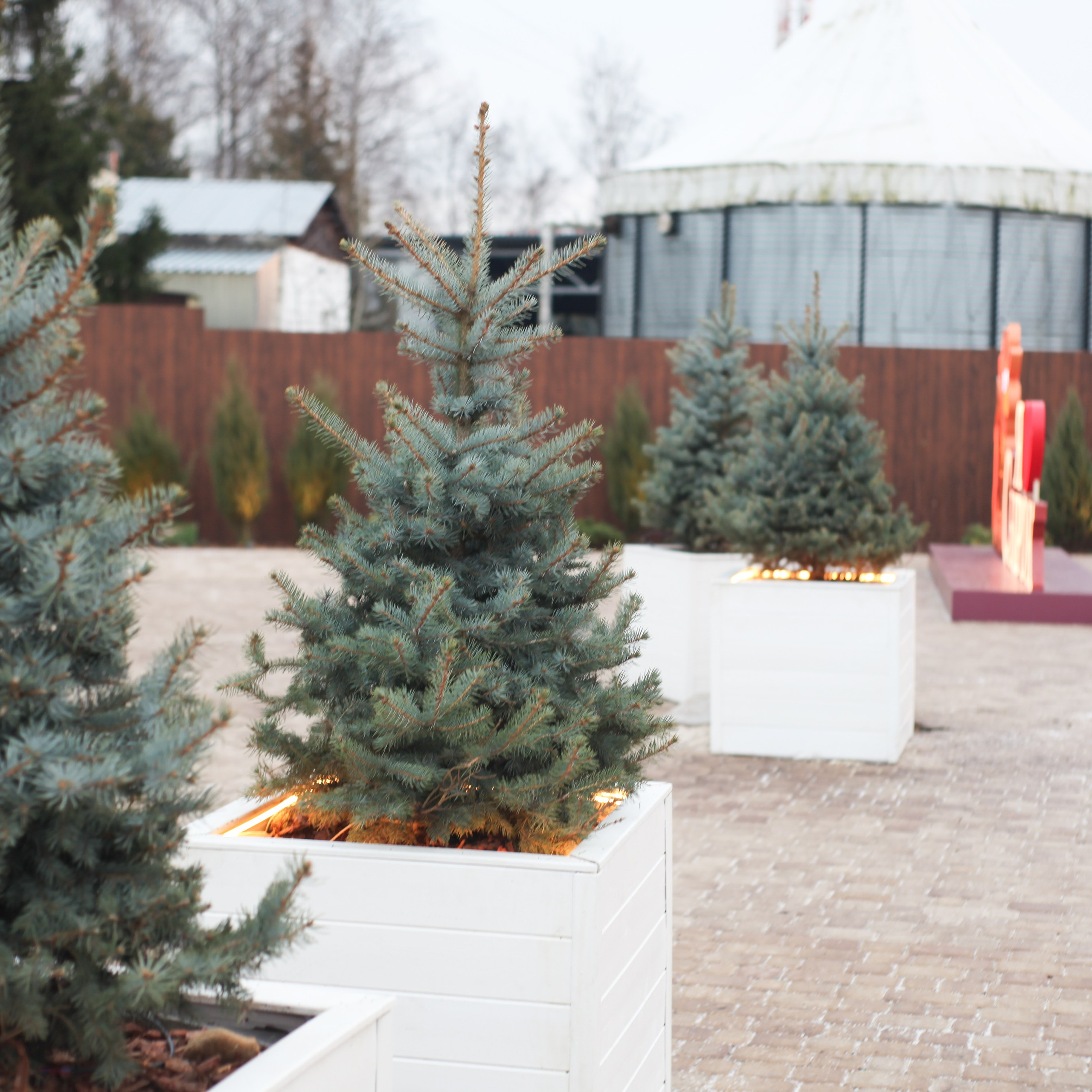 Экскурсия РостАгро. Событийный фотограф в Пушкино Светлана Мусатова