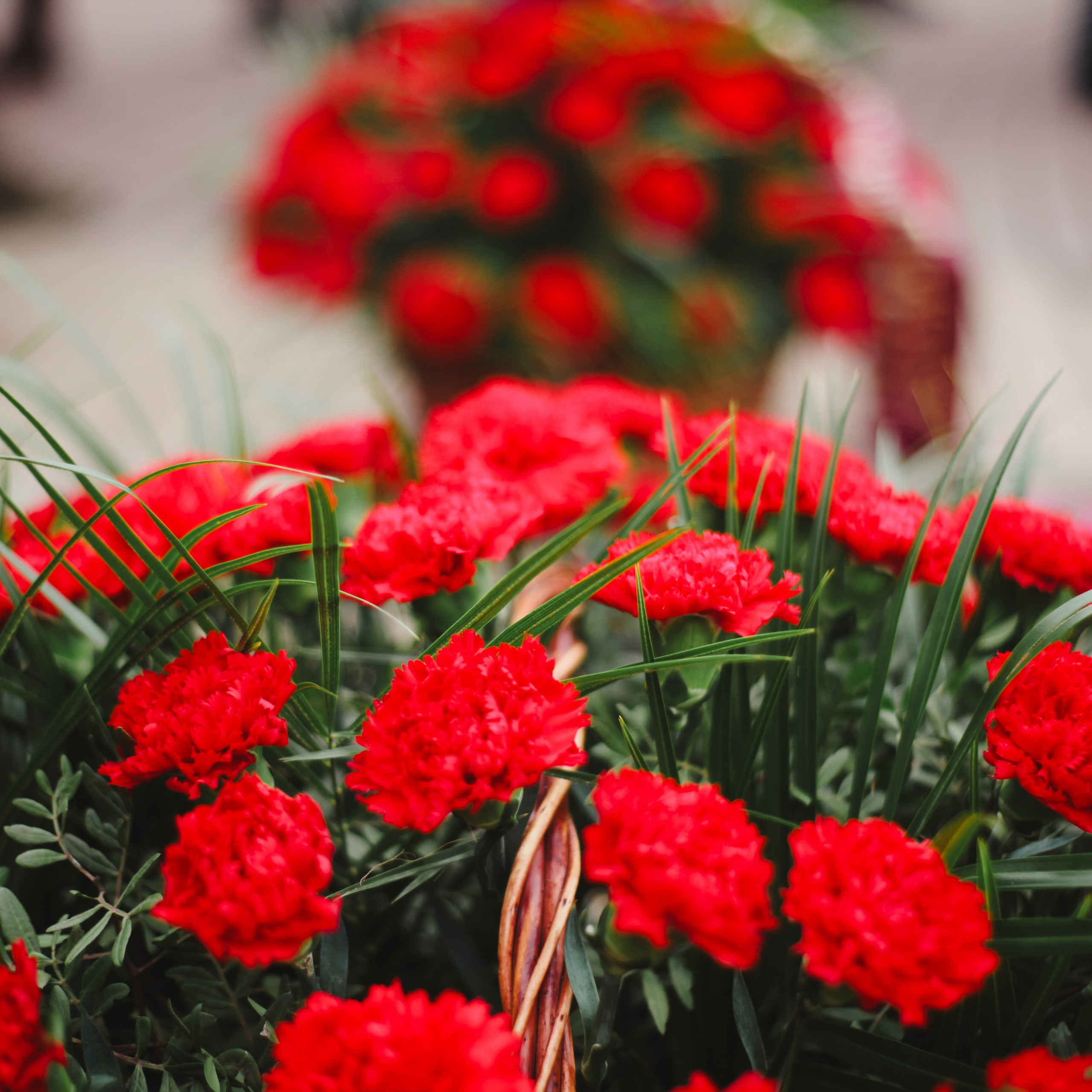 День Героев Отечества. Событийный фотограф в Пушкино Светлана Мусатова