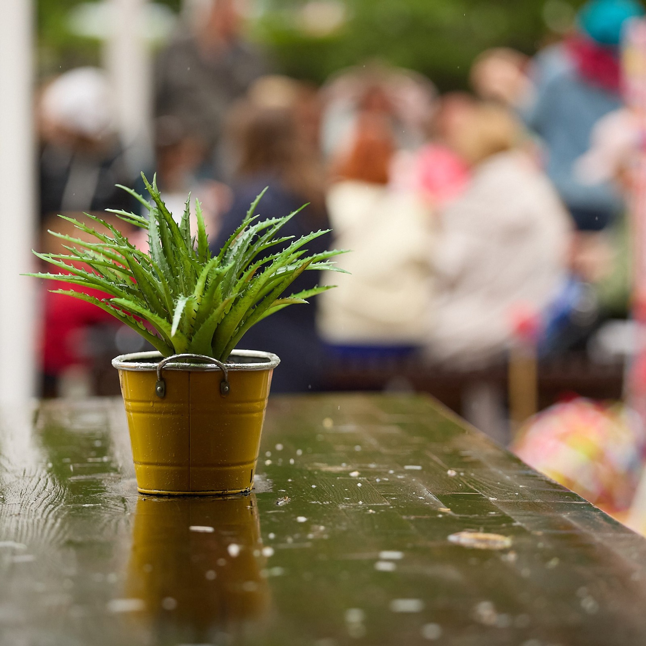 «День вязания на публике 2024» фотосъёмка мероприятия в Городском саду, полная версия. Коммерческий фотограф для бизнеса в Томске Дмитрий Ельчанинов