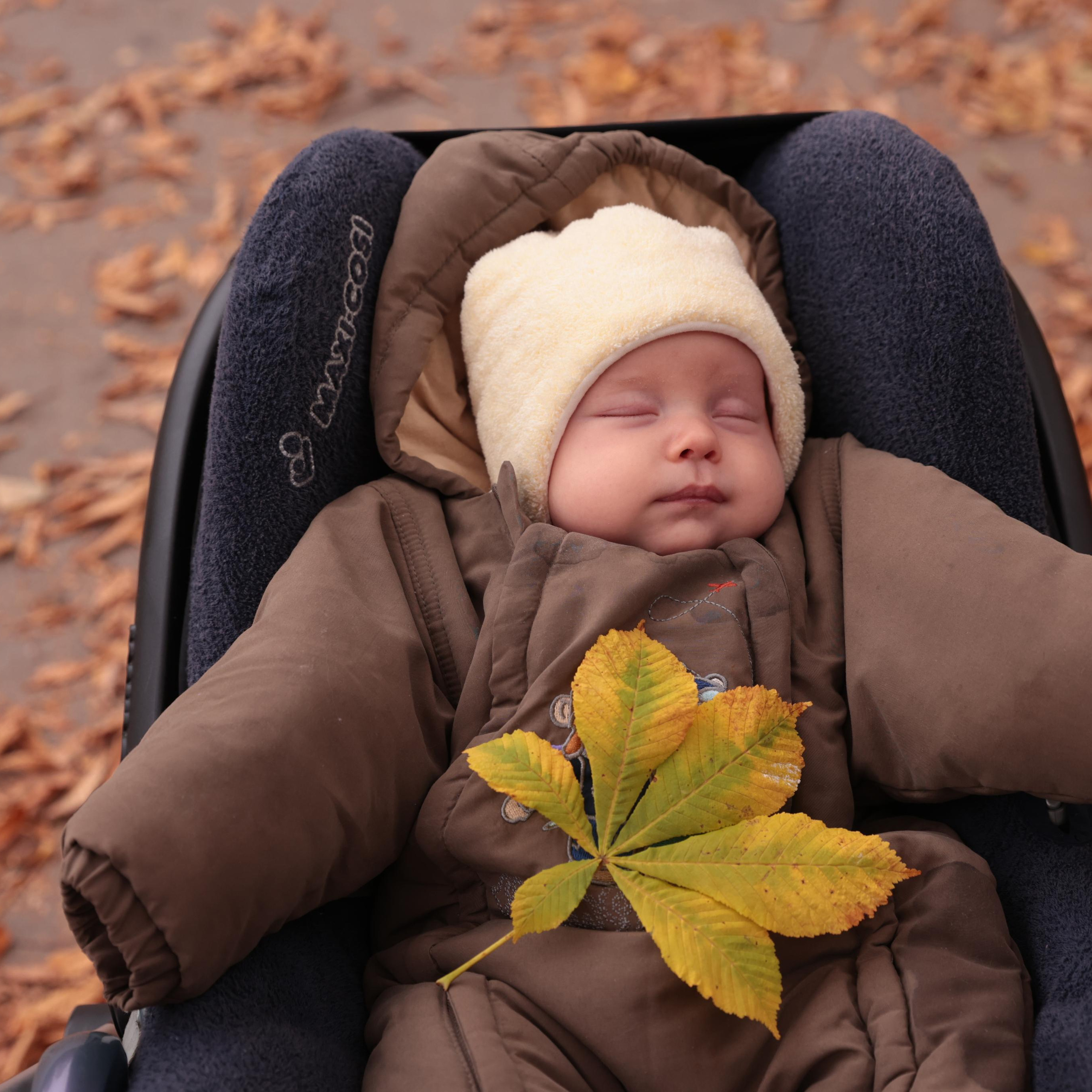 Отзывы. Семейный фотограф в Санкт-Петербурге Алиса Мохова