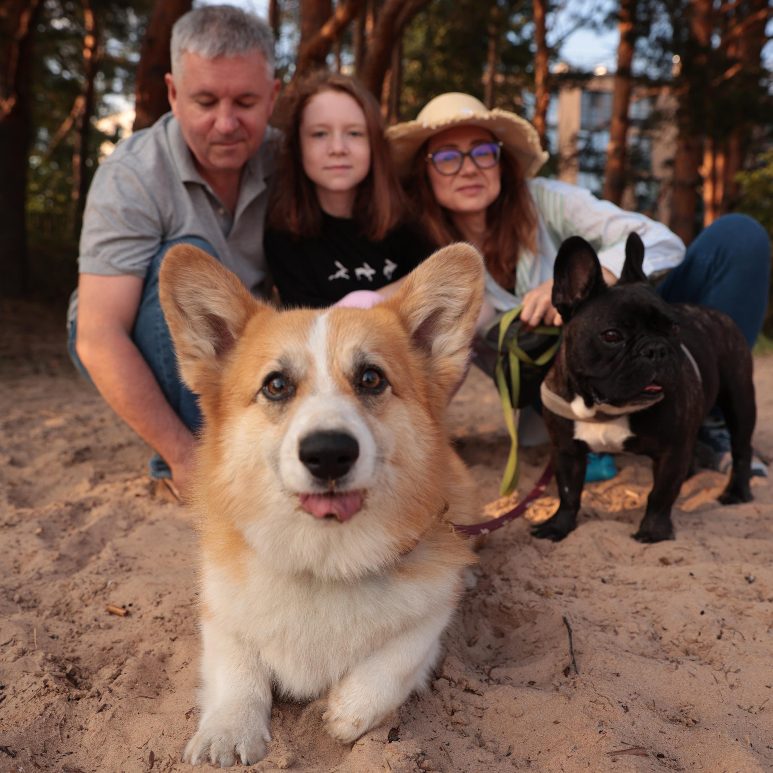 Отзывы. Семейный фотограф в Санкт-Петербурге Алиса Мохова