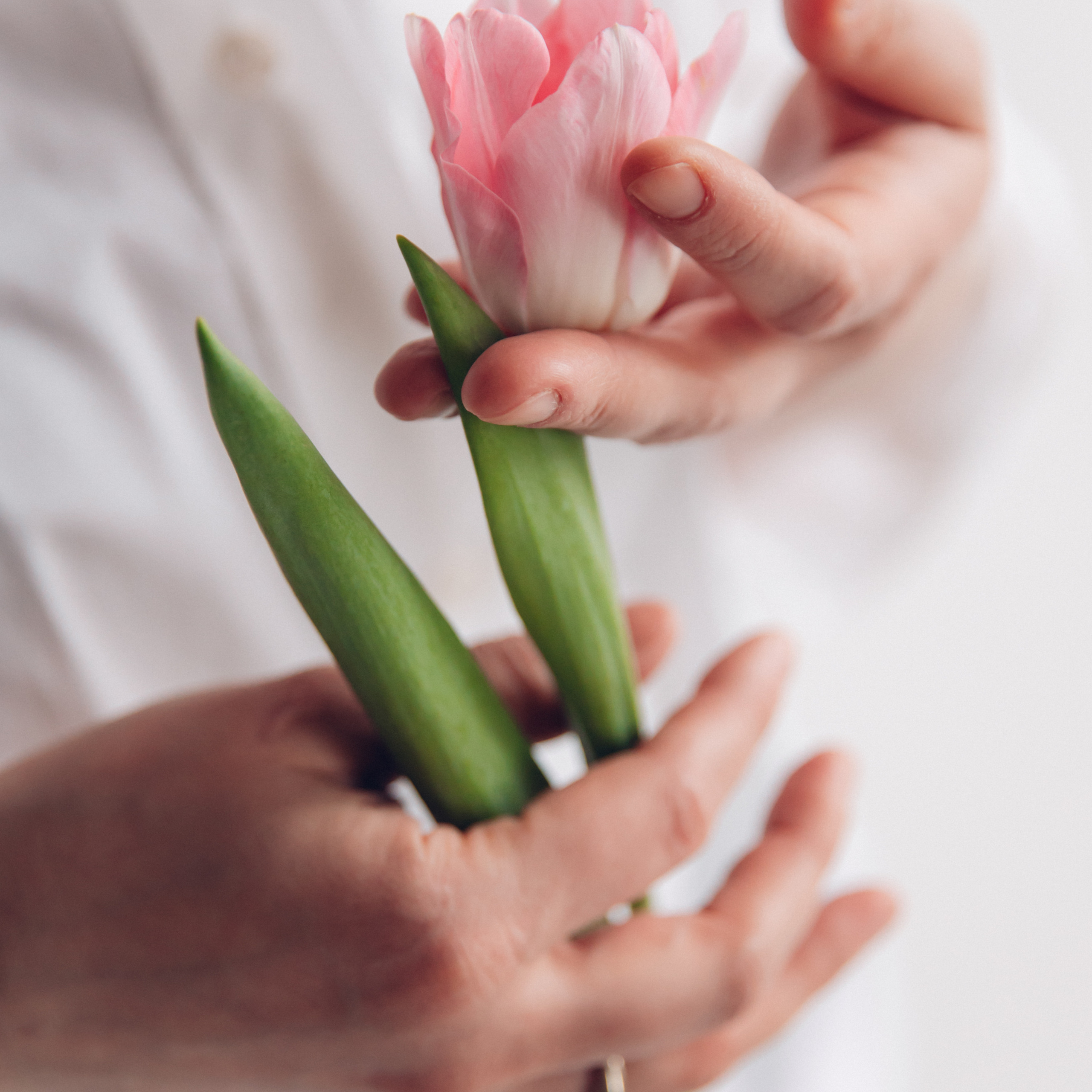 Весенние фотопроекты